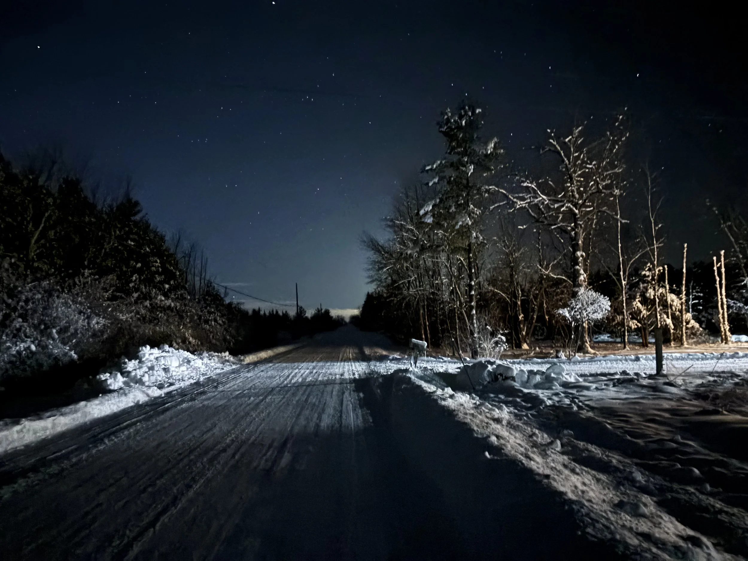 When Rest Feels Unsafe: Why Slowing Down Can Make Anxiety Worse