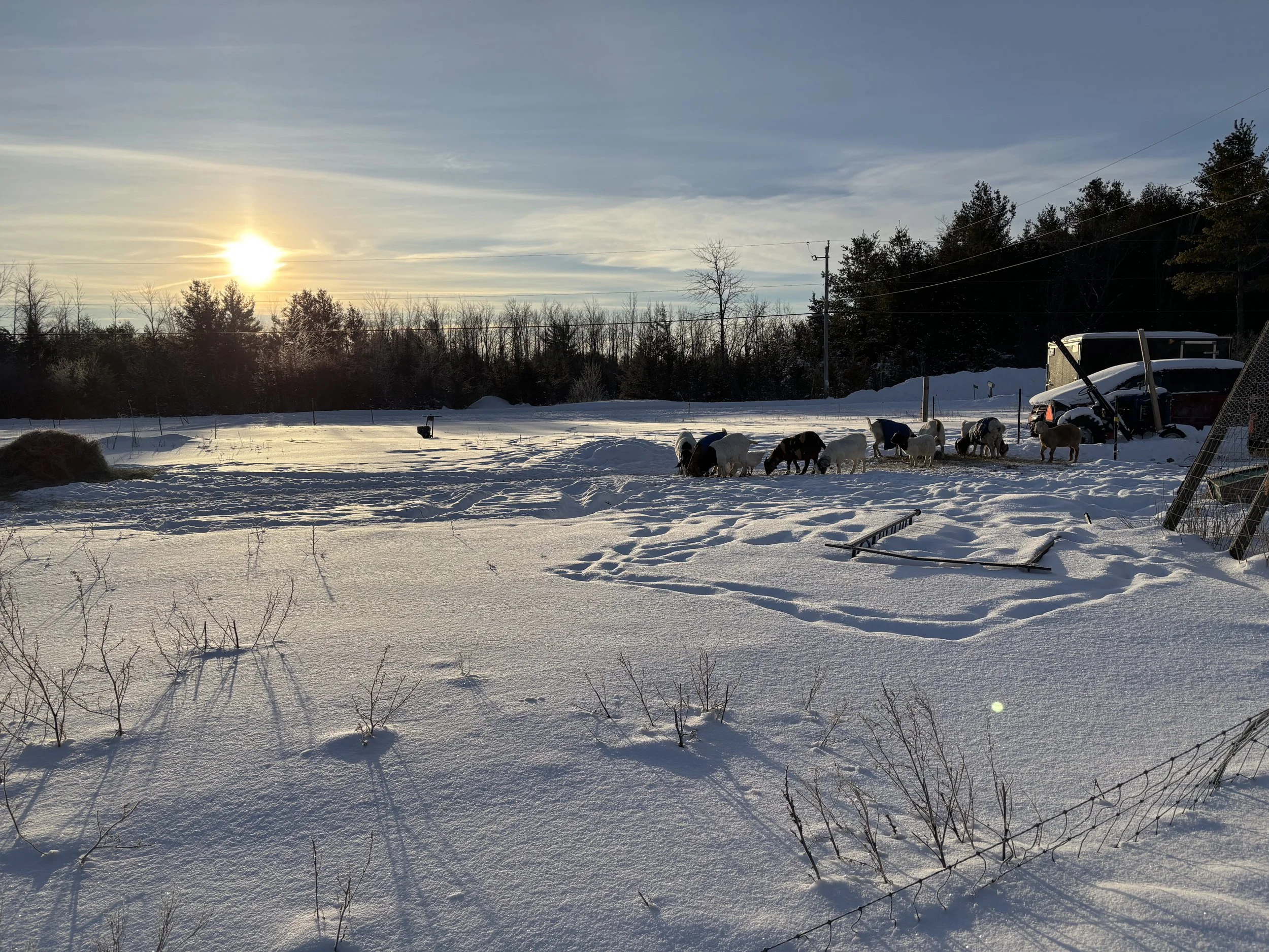 Does Trauma Ever Fully Go Away? What Science Says About Healing