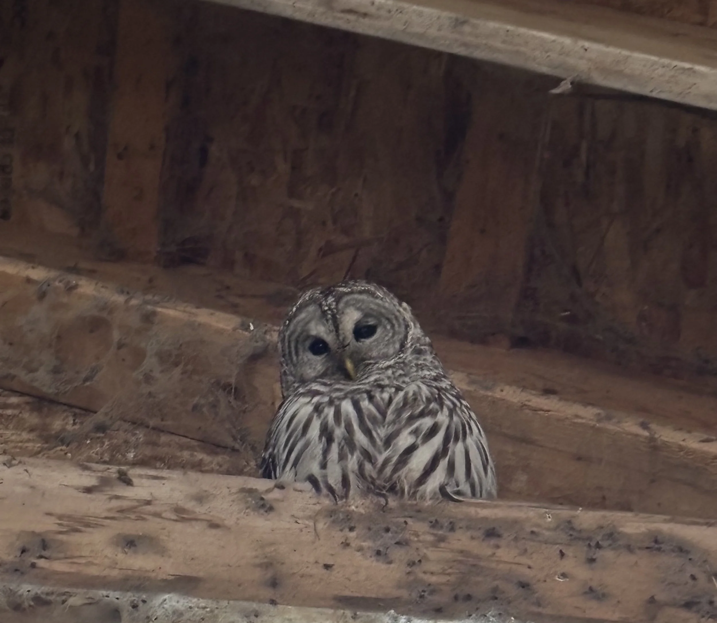 Why You’re Stressed Before Anything Happens