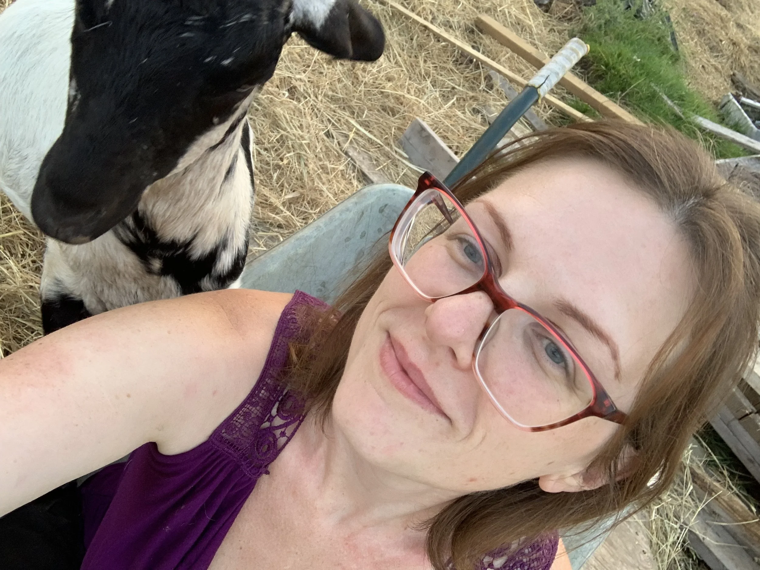Therapist sitting in field with goat