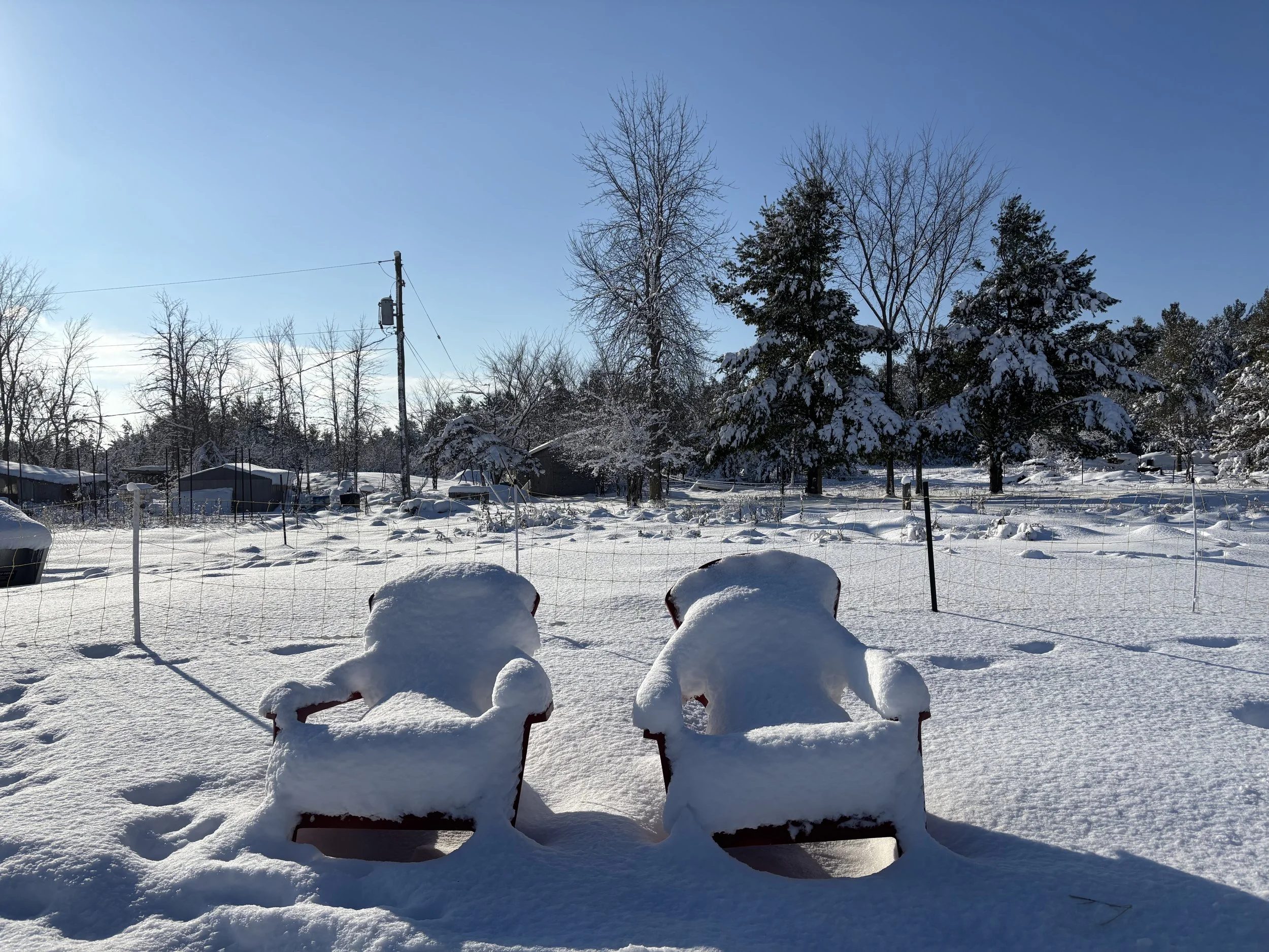 Outdoor seating on a quiet farm used for in-person therapy sessions