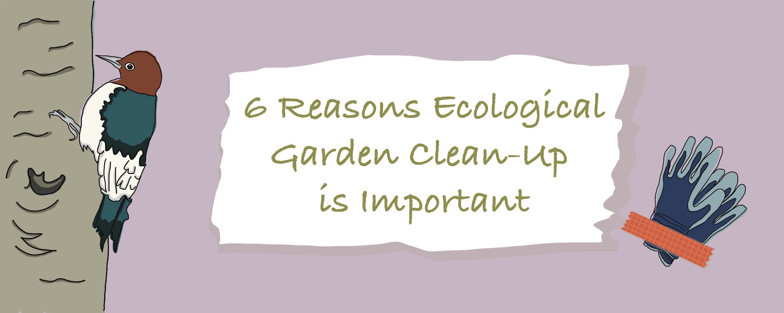6 Reasons An Ecologically-Minded Spring Garden Clean-Up is Important