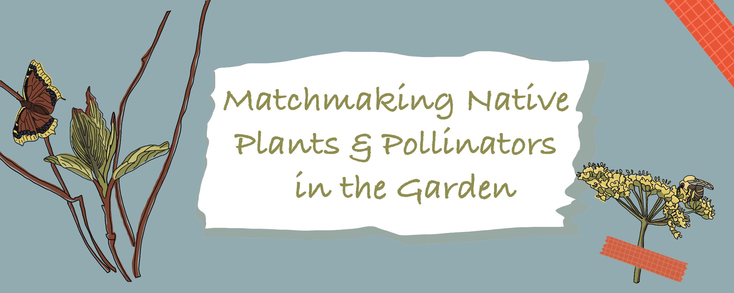 Native Plants and Pollinators: Matchmaking in the Garden