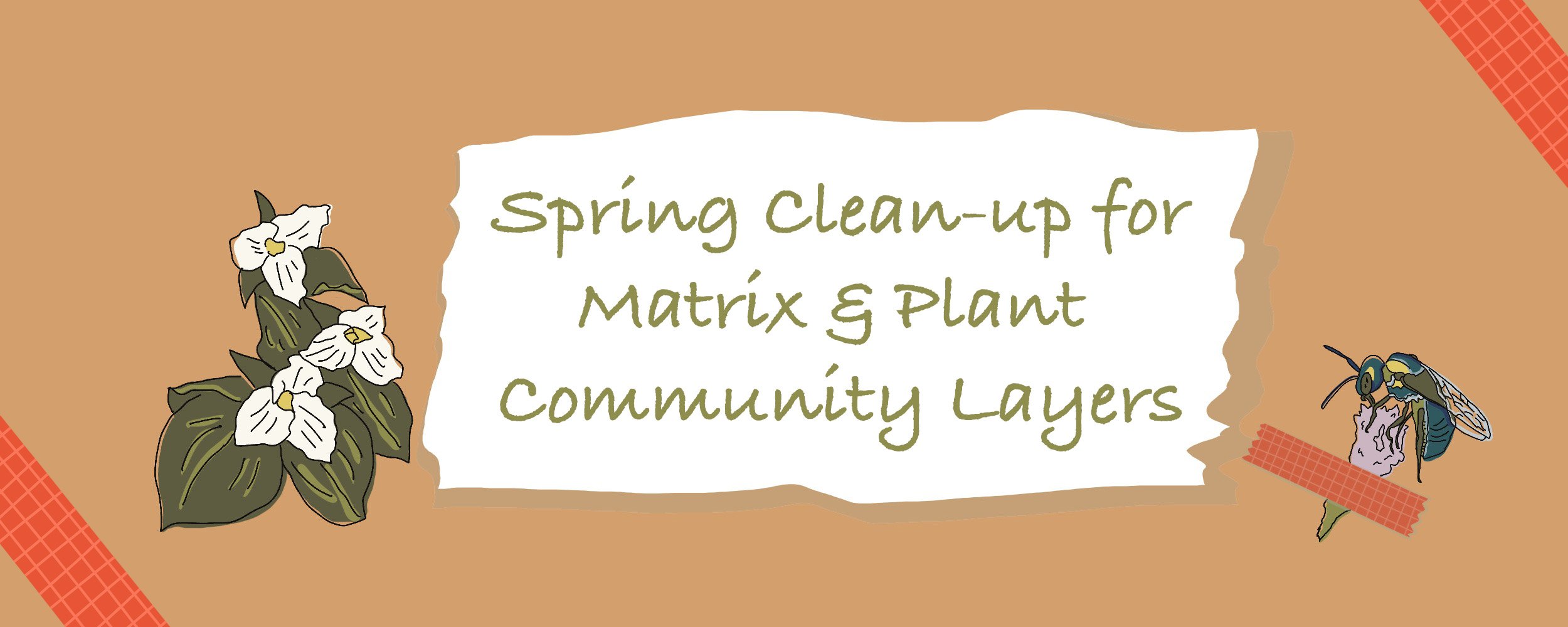 Ecological Spring Clean-Up of Matrix Plantings and Layered Plant Communities