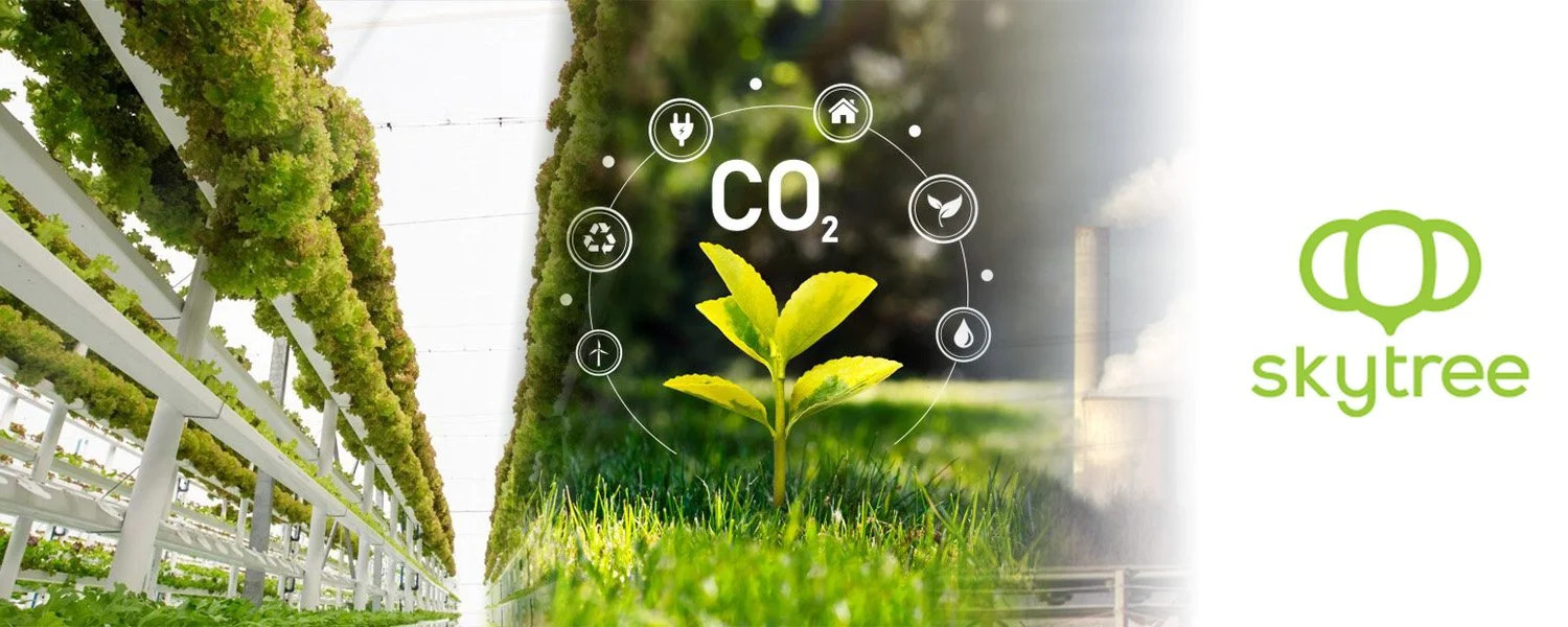 Space and Sustainability: The Transition from Fossil–Based to Air Capture Co2