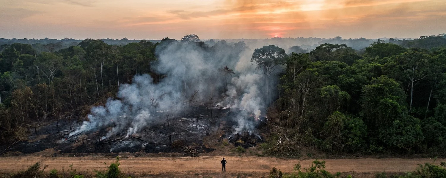 Carbon Crisis In The Amazon: We Own It