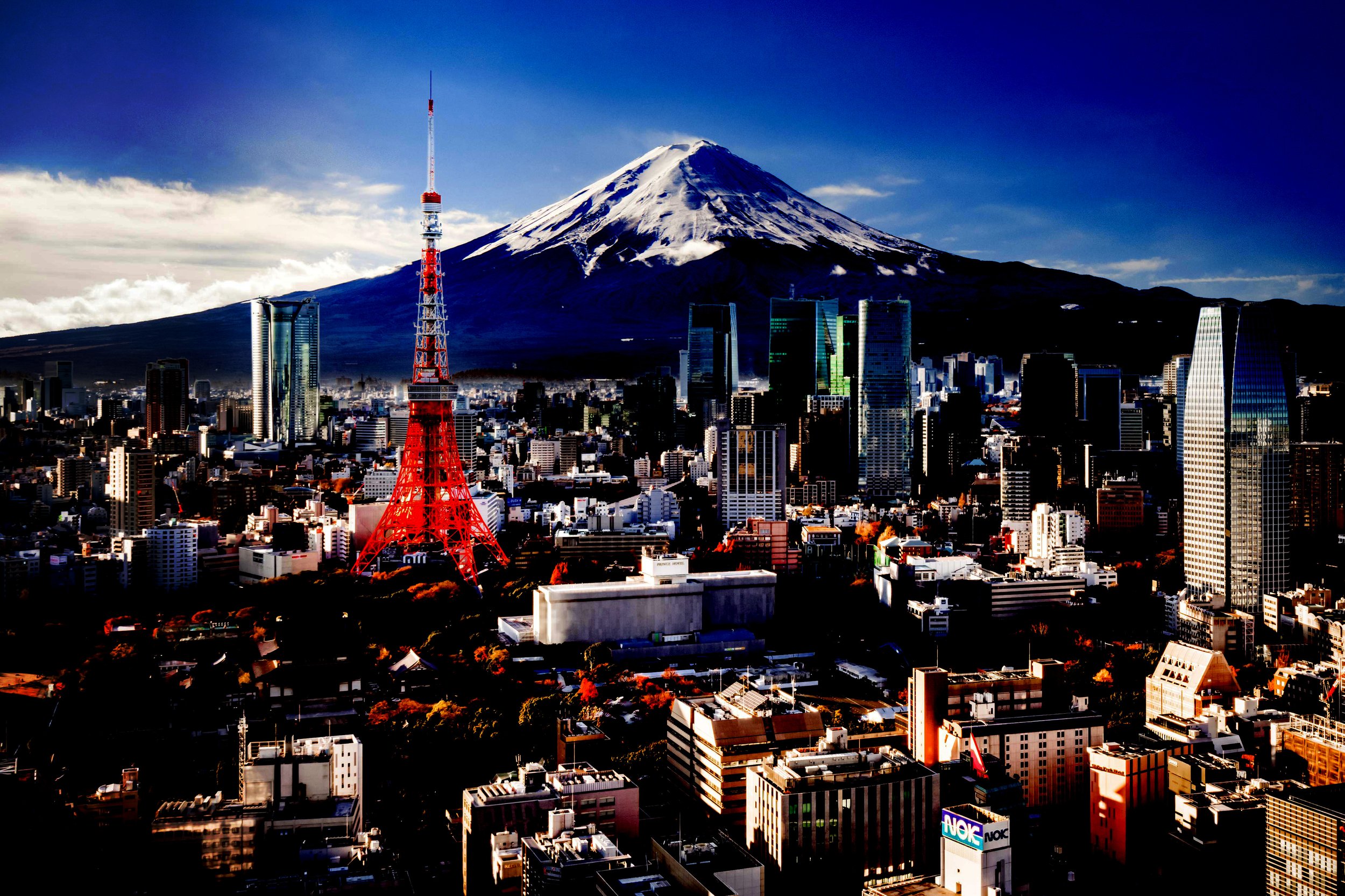 THE-ONE-FOR-TOKYO-darker-copy-1.jpeg