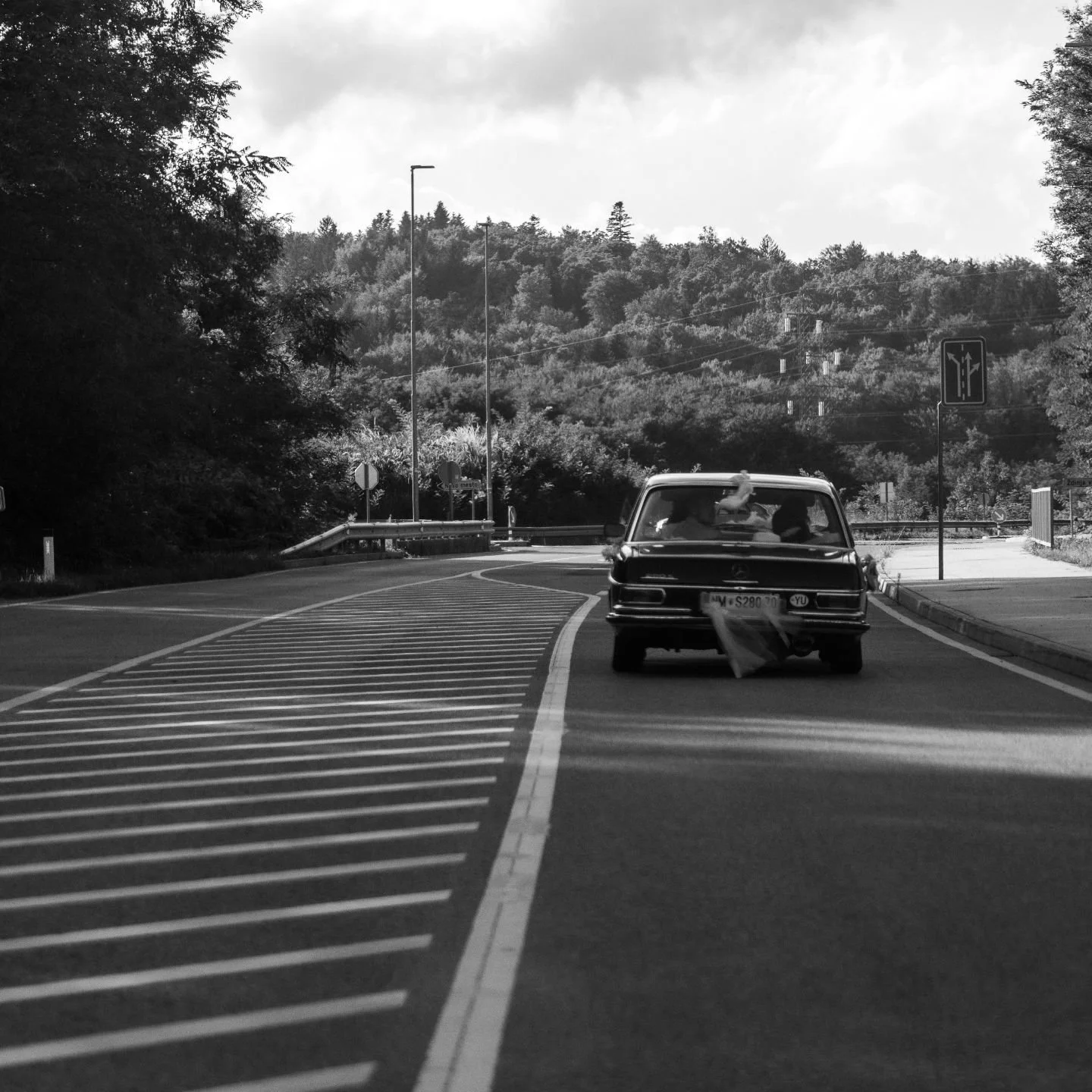 Ride in style. &hearts;️

#photography #photographer #nature #photolovers #beauty #naturelovers #capture #earth #beautiful #photoshoot #photos #videography #video #earth #life #everyday #moment #photo #couplesphotography #weddingphotography #weddingd