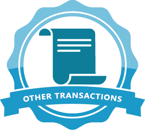 Other Transaction Authority