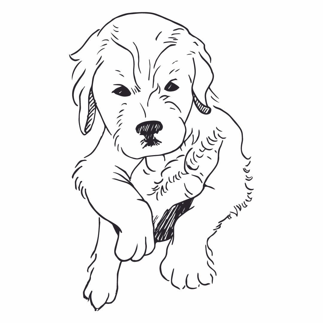 Artboard 13 copy-20.jpg