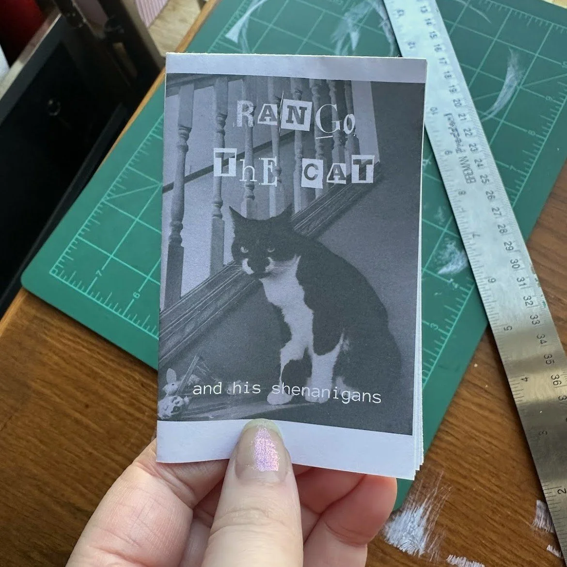 Rango the Cat Minizine