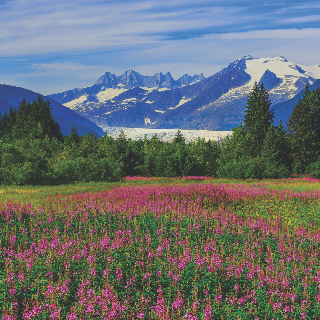 Note If cruise is international have Creative make a A4 file for any 8.5x11 files for the team to print on the ground.png