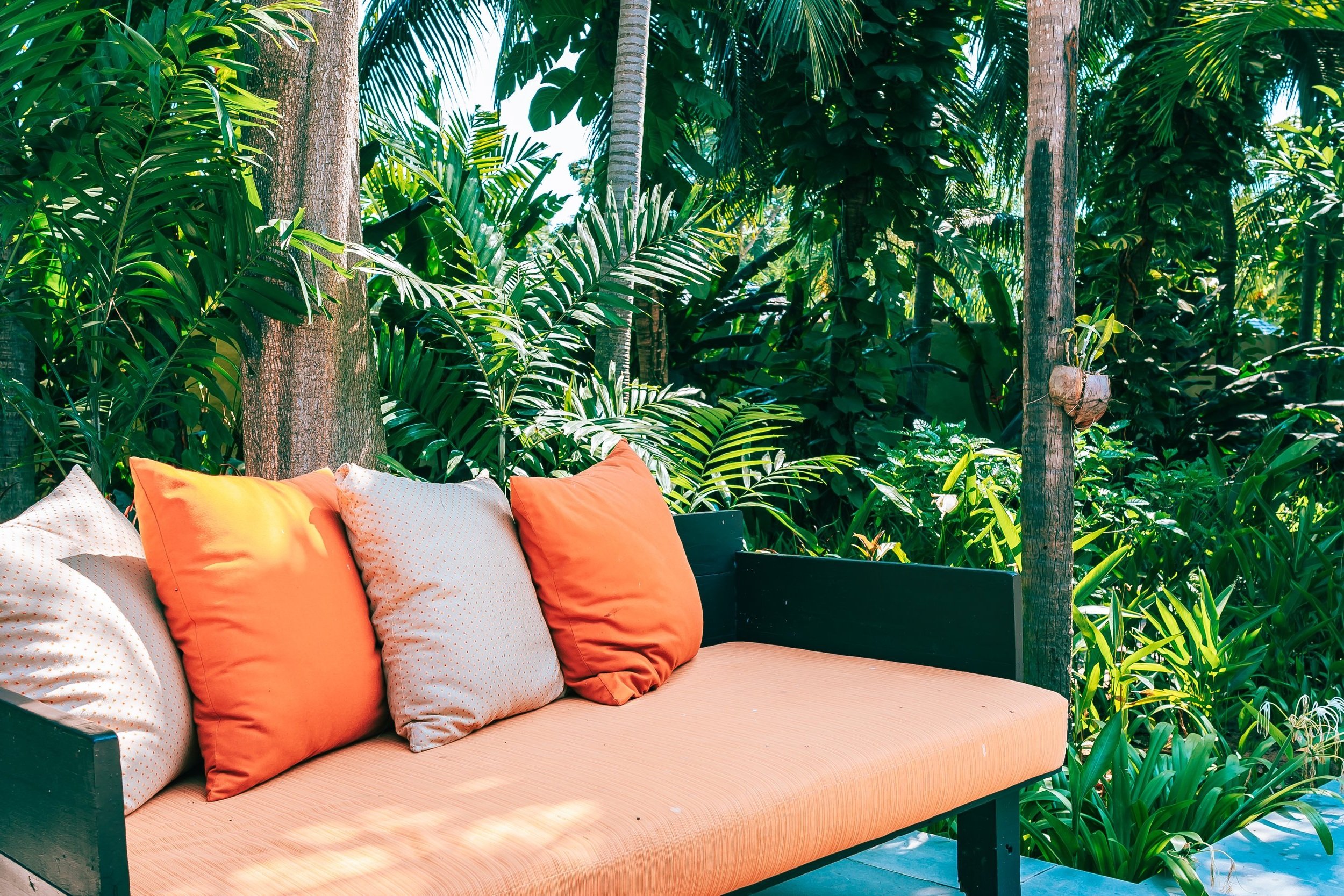tropical+pillow-on-sofa-furniture-decoration-outdoor-patio-2024-09-14-05-19-04-utc.jpg