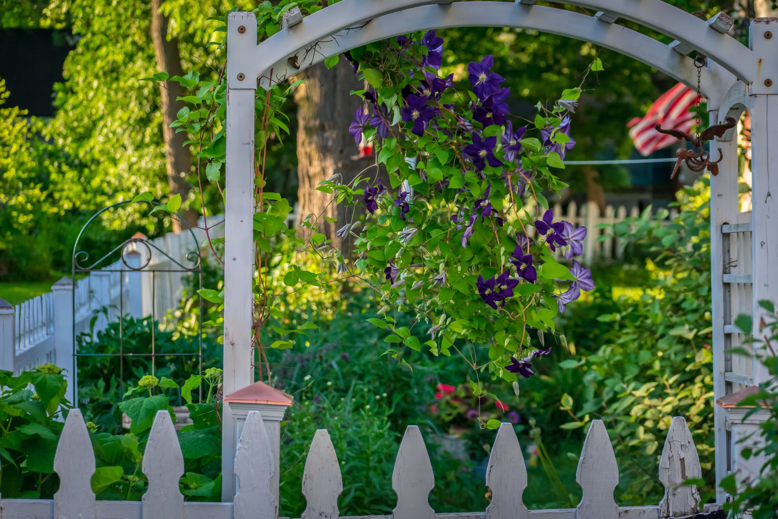 1garden-arbor-leading-to-backyard-2023-11-27-05-16-14-utc.jpg