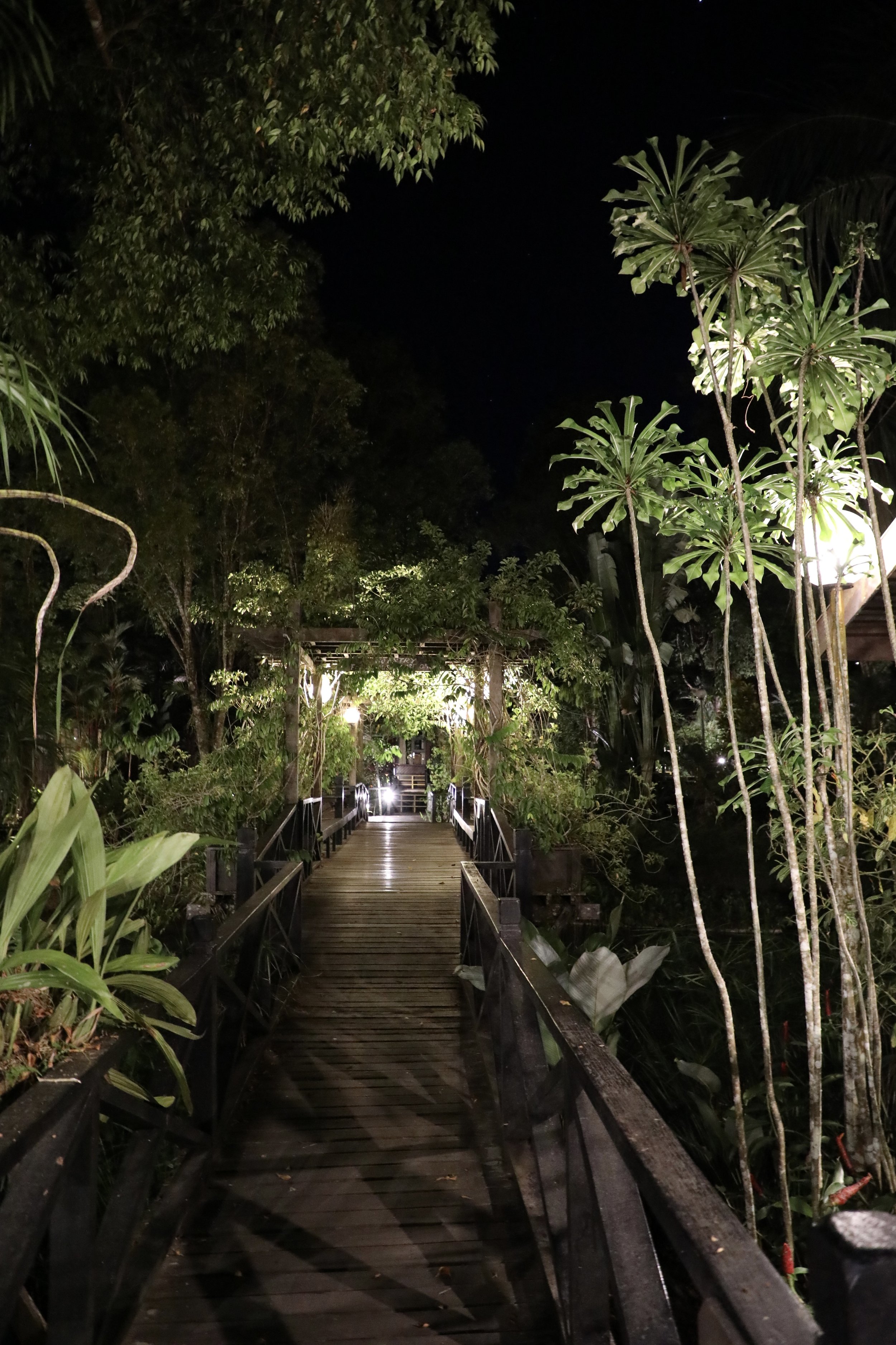 light tropical-paradise-walkway-2023-11-27-04-53-36-utc.jpg