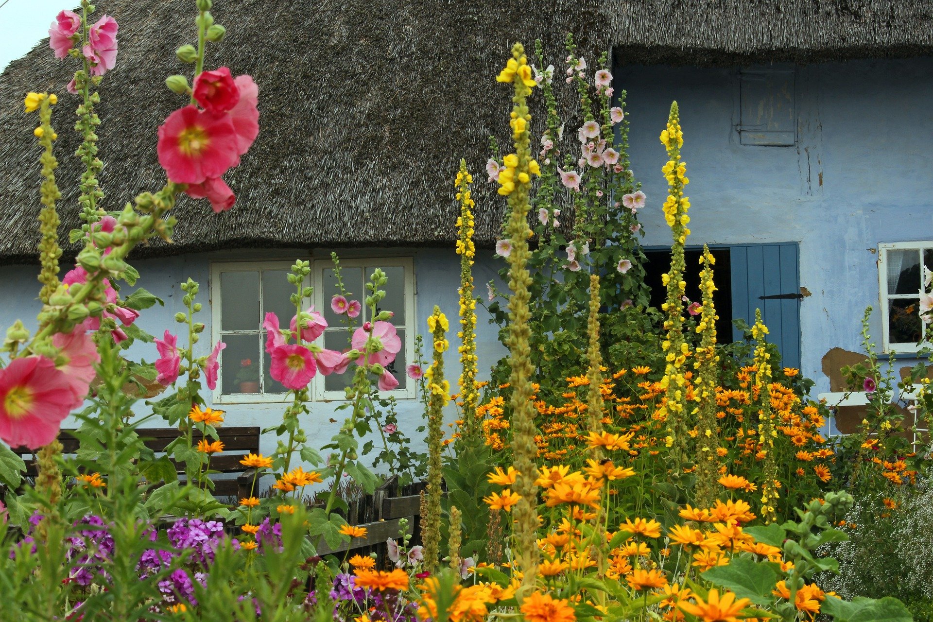 cottage farm-yard-4355161_1920.jpg