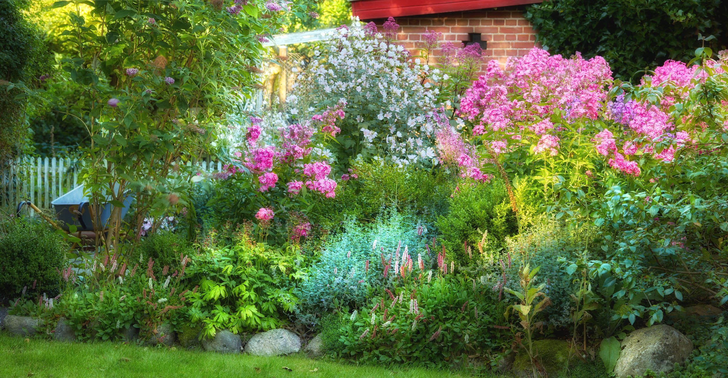 cottage garden-photo-a-diversity-of-garden-photos-2023-11-27-05-11-54-utc.jpg