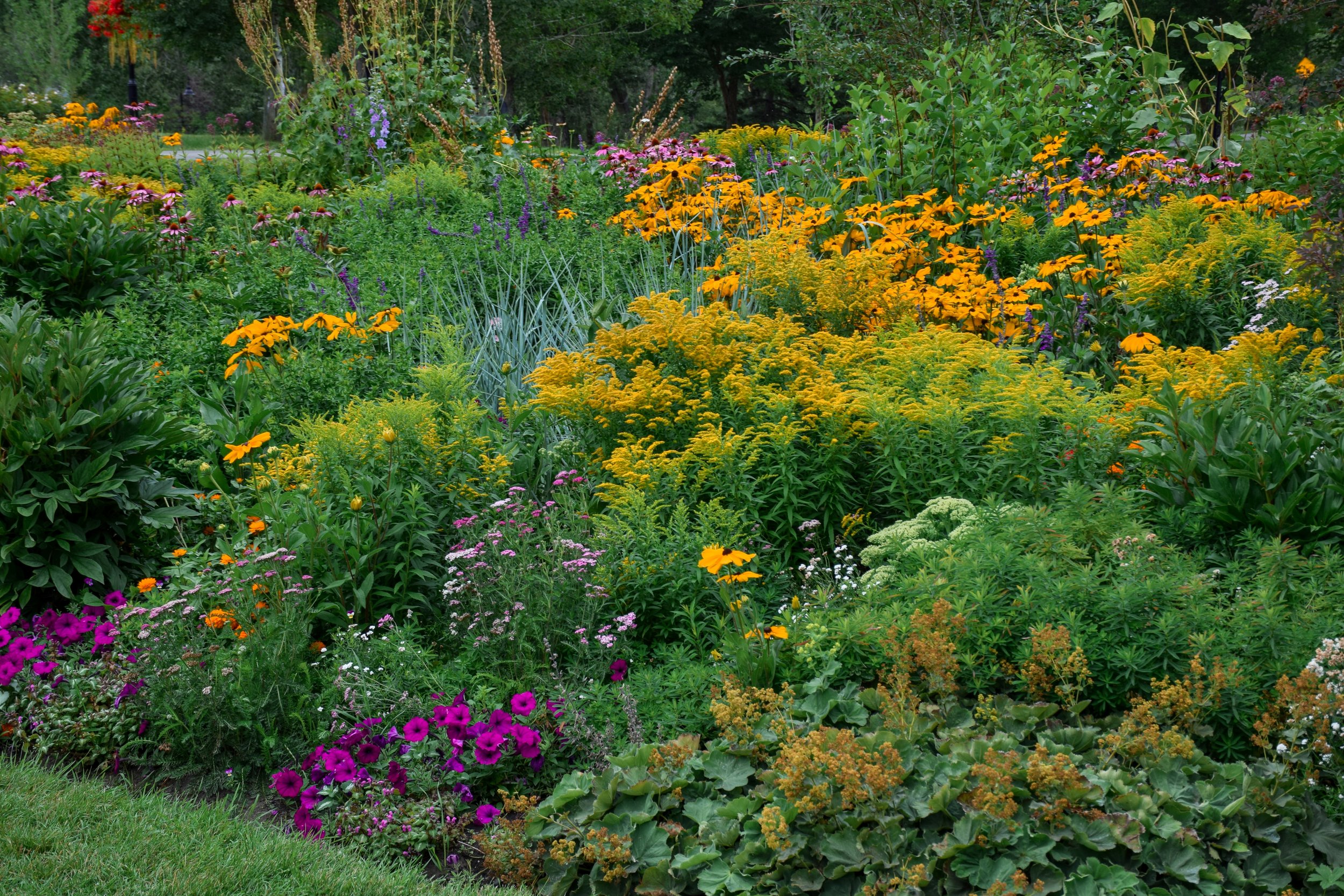 annual-perennial-garden-bed-mix-flower-border-in-t-2023-11-27-05-19-53-utc.jpg