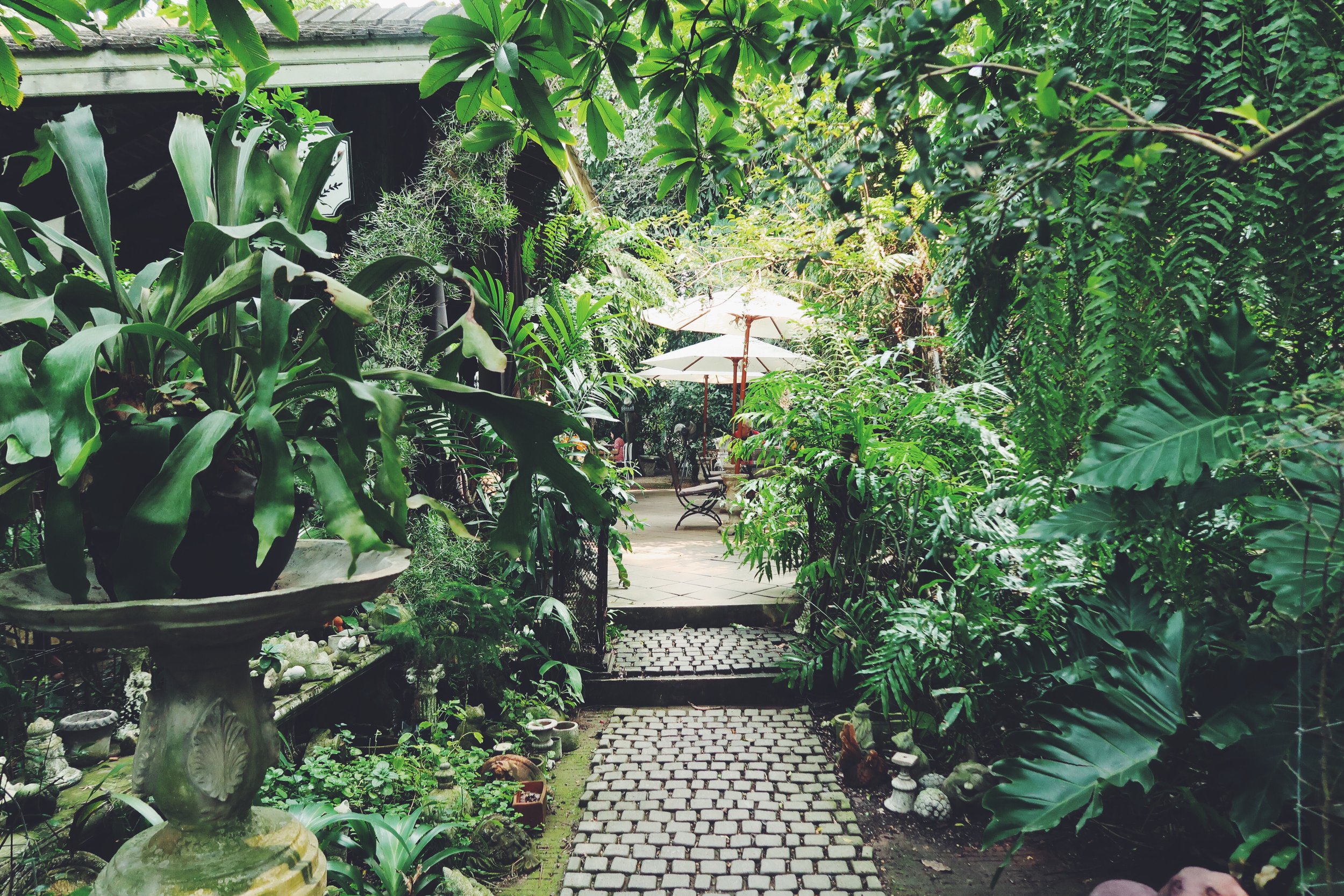 tropical a-green-secret-garden-2024-09-17-04-57-39-utc.jpg