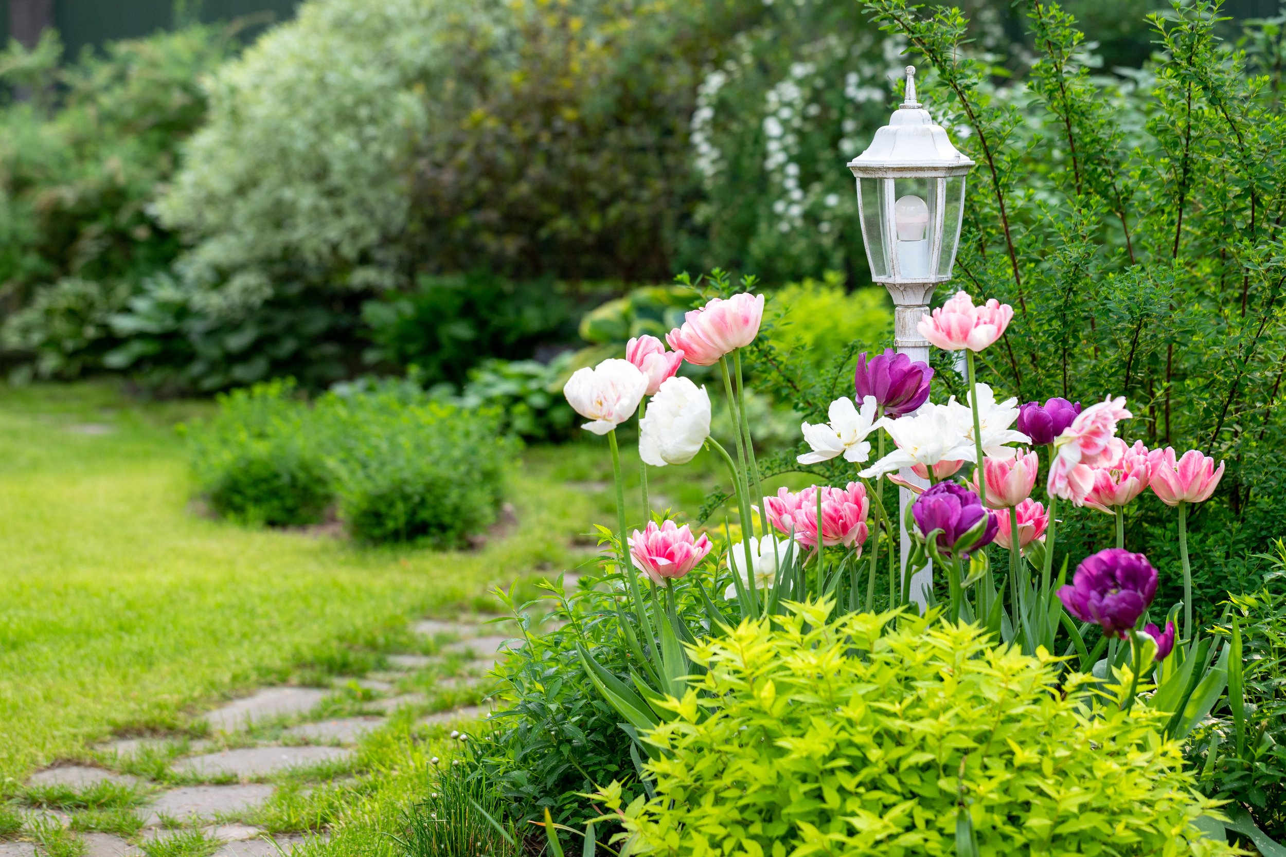 cottage vintage-decorative-garden-lamp-surrounded-by-bloom-2023-11-27-05-26-36-utc.jpg
