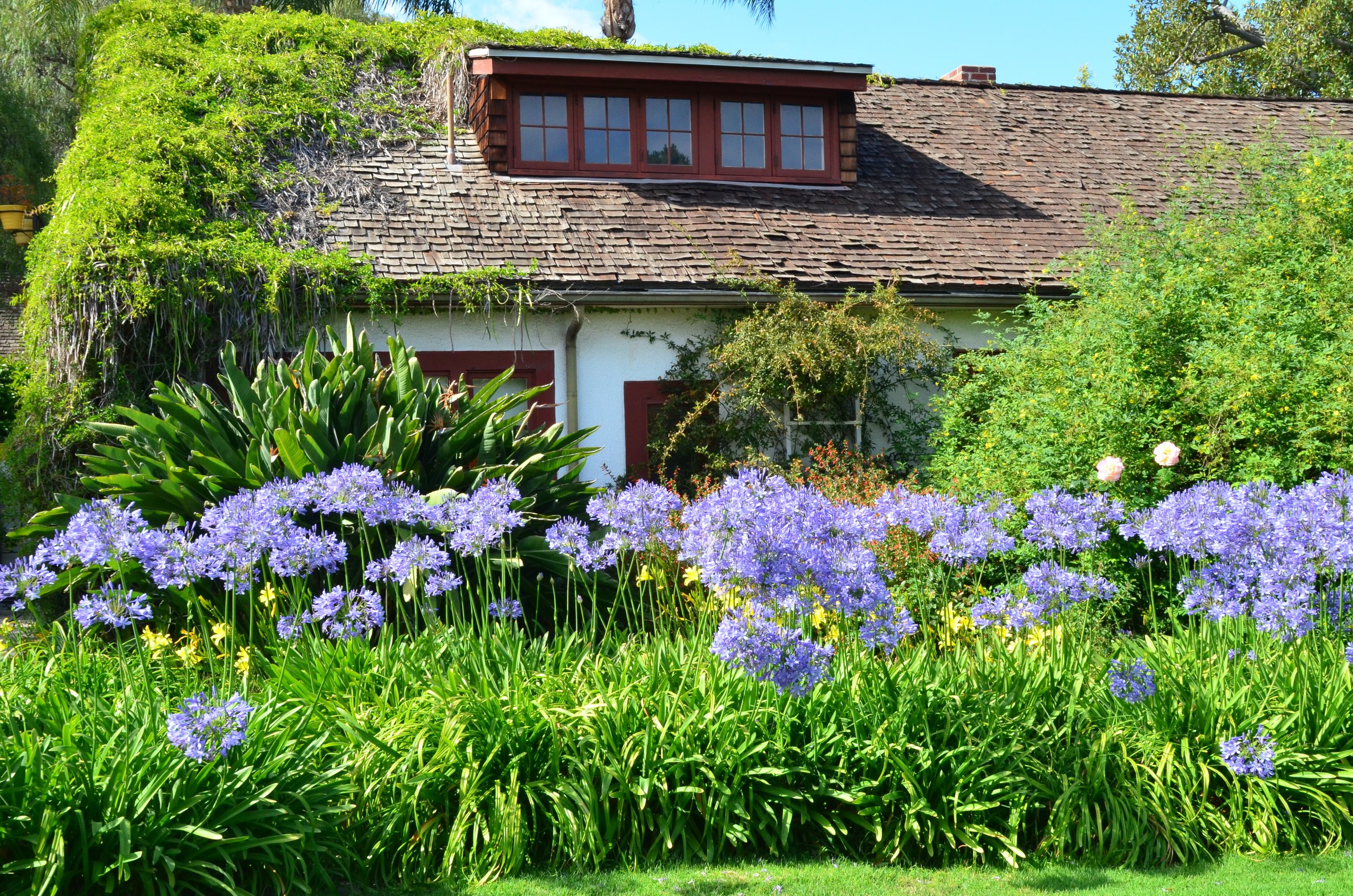 quaint-cozy-idyllic-cottage-home-house-surrounded-2023-11-27-05-18-36-utc.jpg