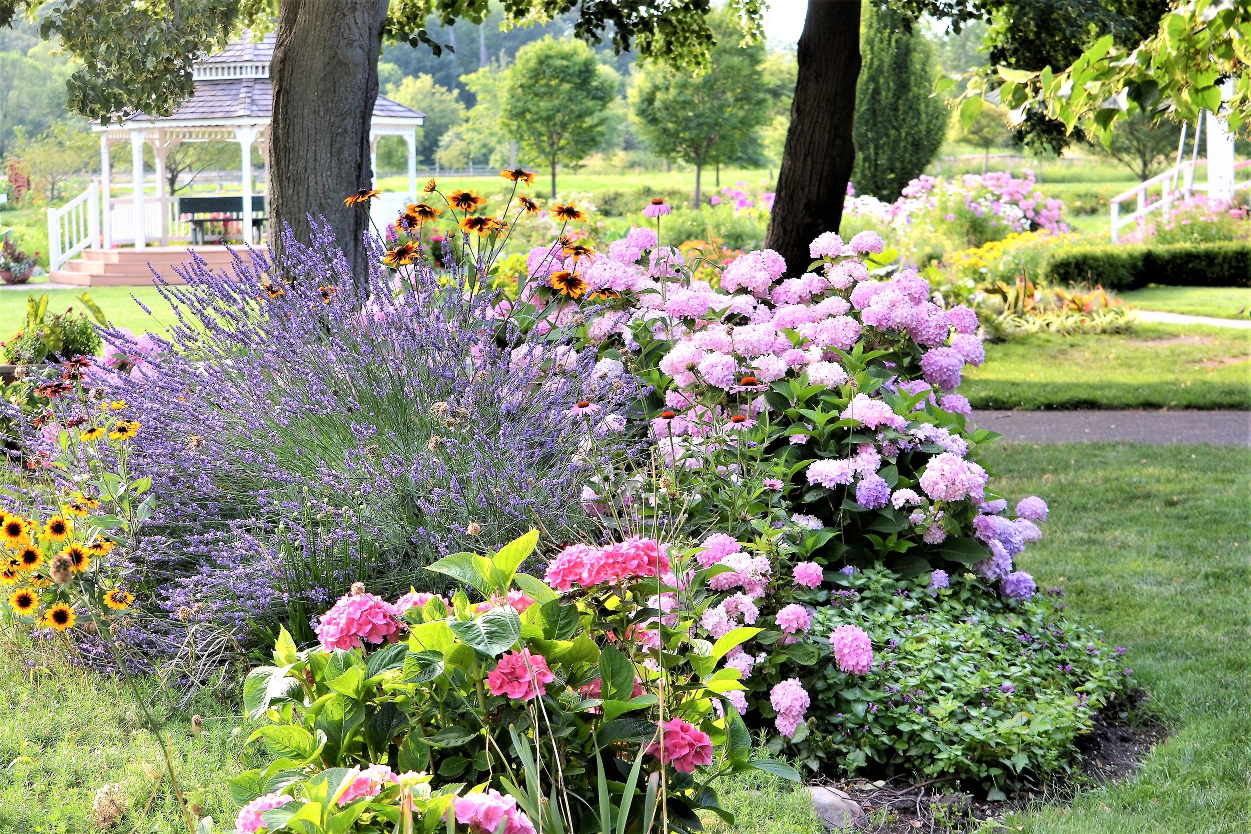 cottage beautiful-flower-garden-2023-11-27-05-17-30-utc.jpg