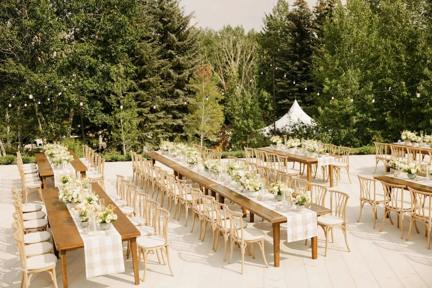 @SofiaDeWolfePhotography-K+C-Final-2355 copy.jpg