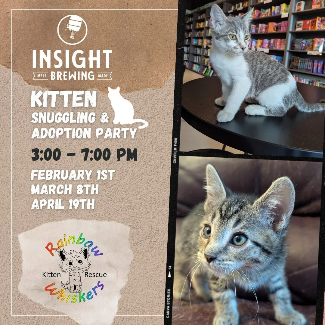 Flyer for a kitten snuggling and adoption event hosted by Rainbow Whiskers, taking place on the second Sundays from 3 to 7 PM in November, December, January, and February. The flyer features photos of two kittens and the Rainbow Whiskers logo.