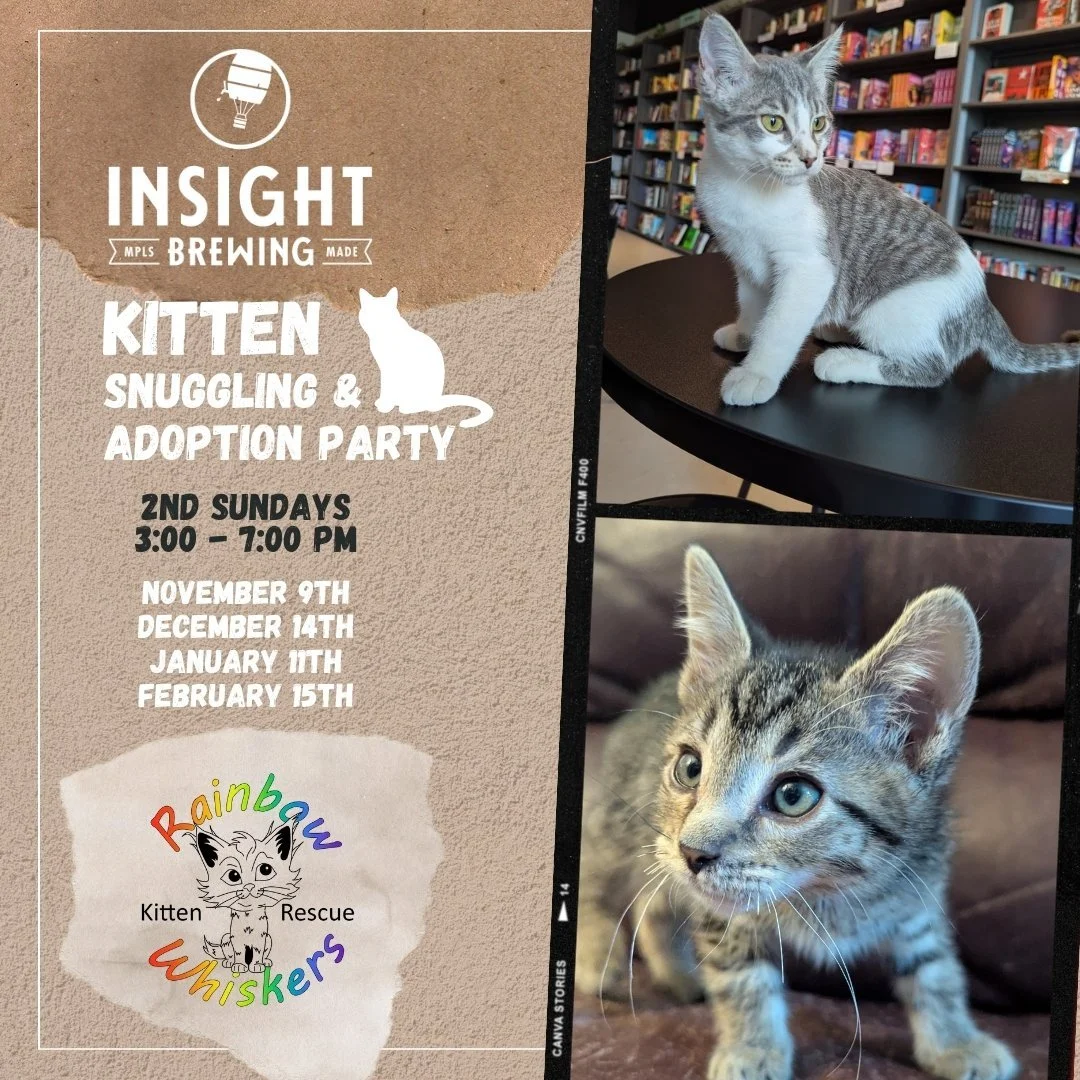 Kitten Snuggling Website.jpg