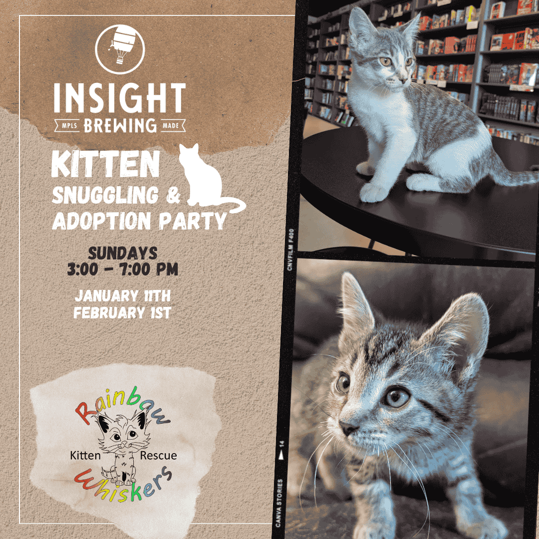 Flyer for a kitten snuggling and adoption event hosted by Rainbow Whiskers, taking place on the second Sundays from 3 to 7 PM in November, December, January, and February. The flyer features photos of two kittens and the Rainbow Whiskers logo.