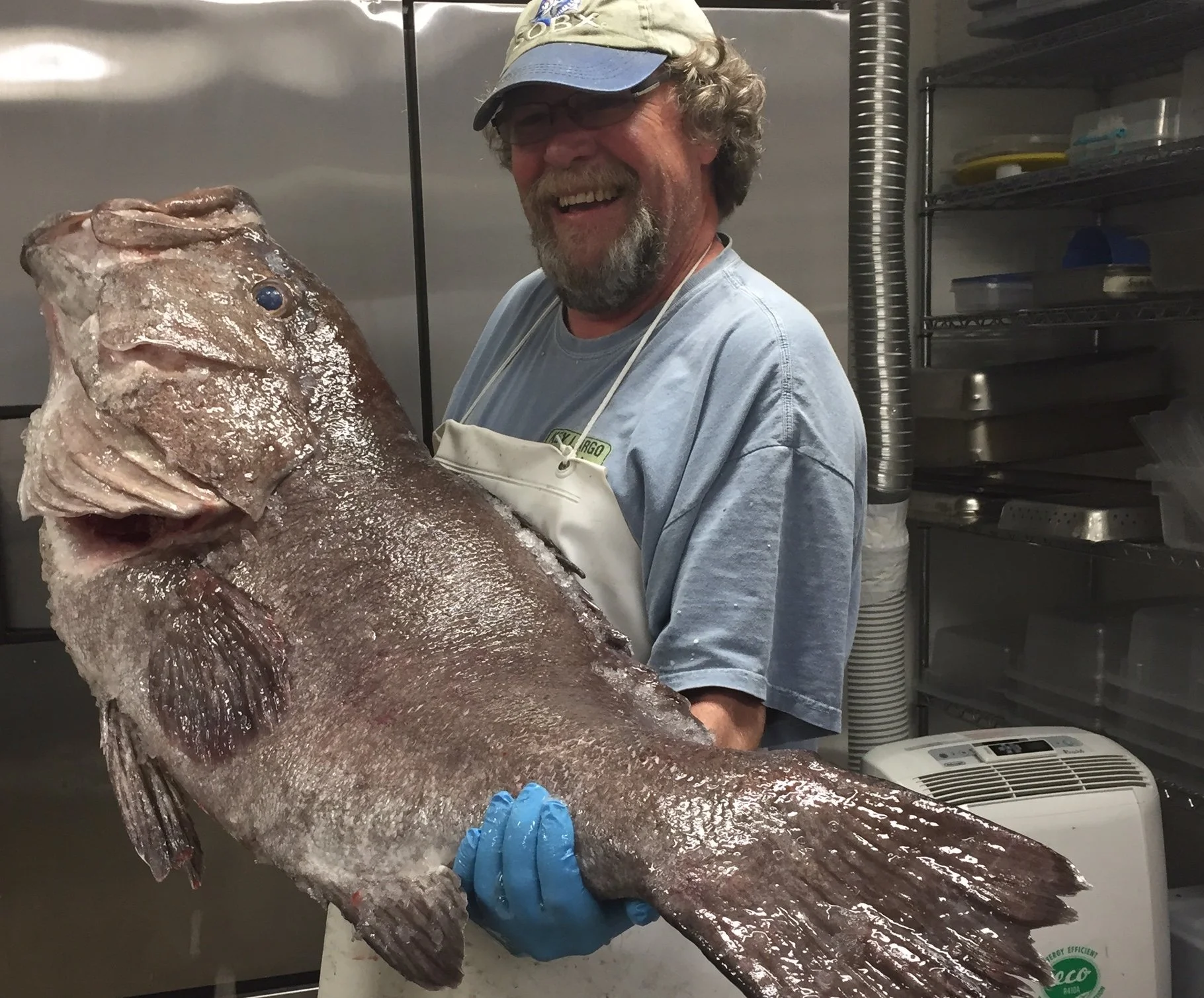 snowy grouper.JPG