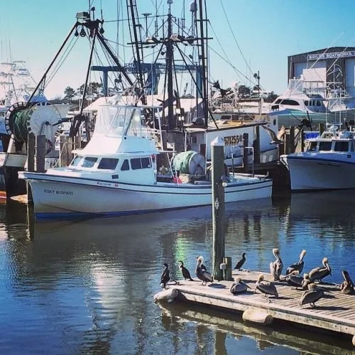 2019 Independent Study of NC Fisheries