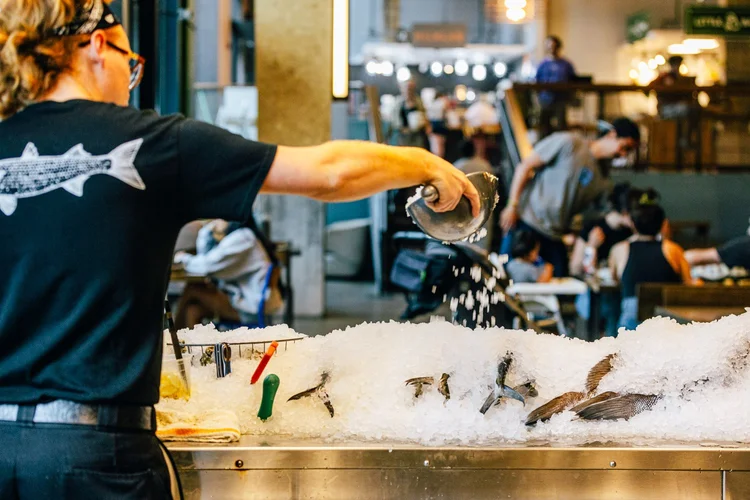 Today. Fish Today's Catch | Experience Fresh Seafood - Order Today — LOCALS SEAFOOD