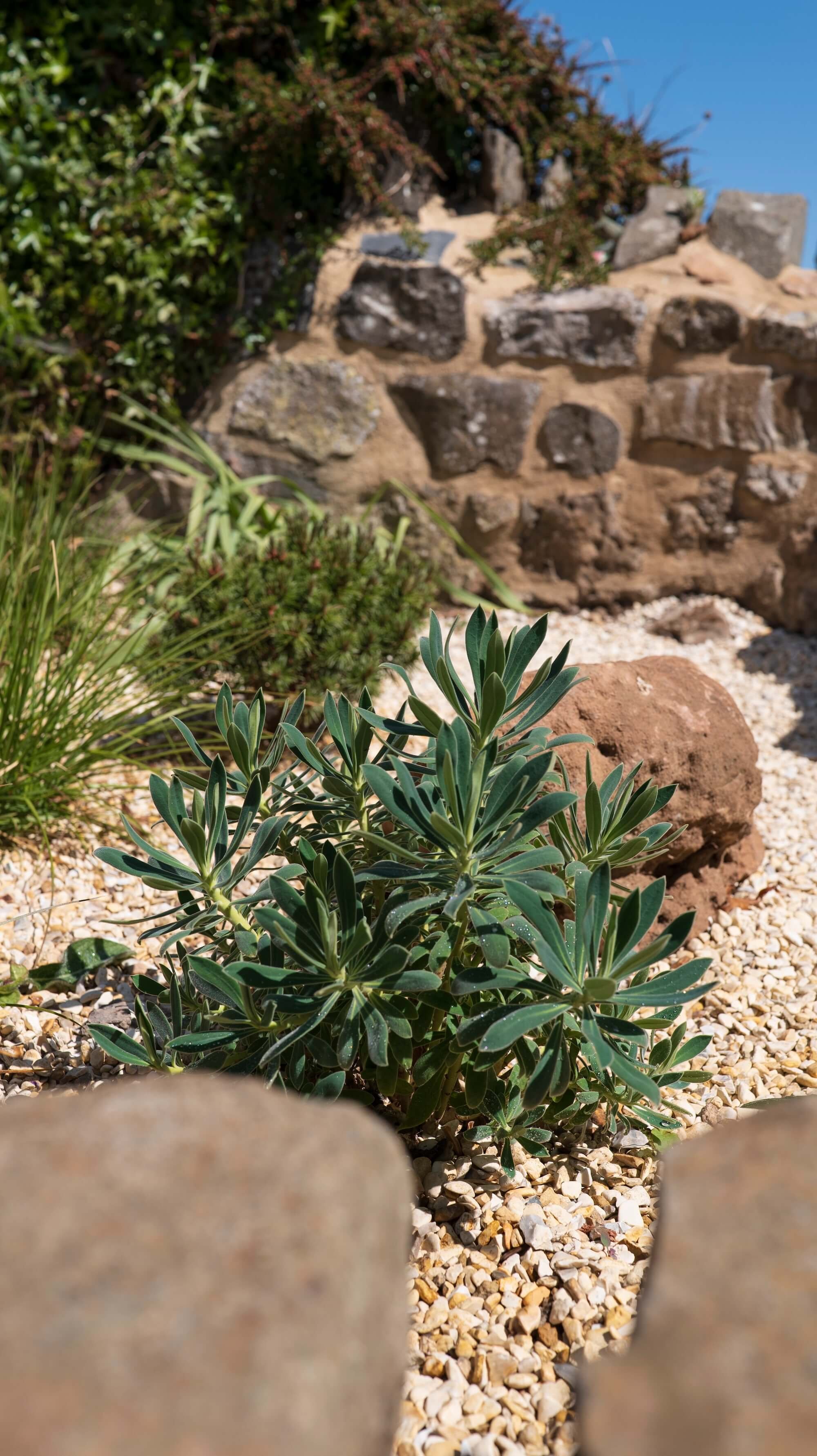 Rael rawlinson Garden Design North East England Rocket House Low Embleton Napper Architects Riba Award24.jpg