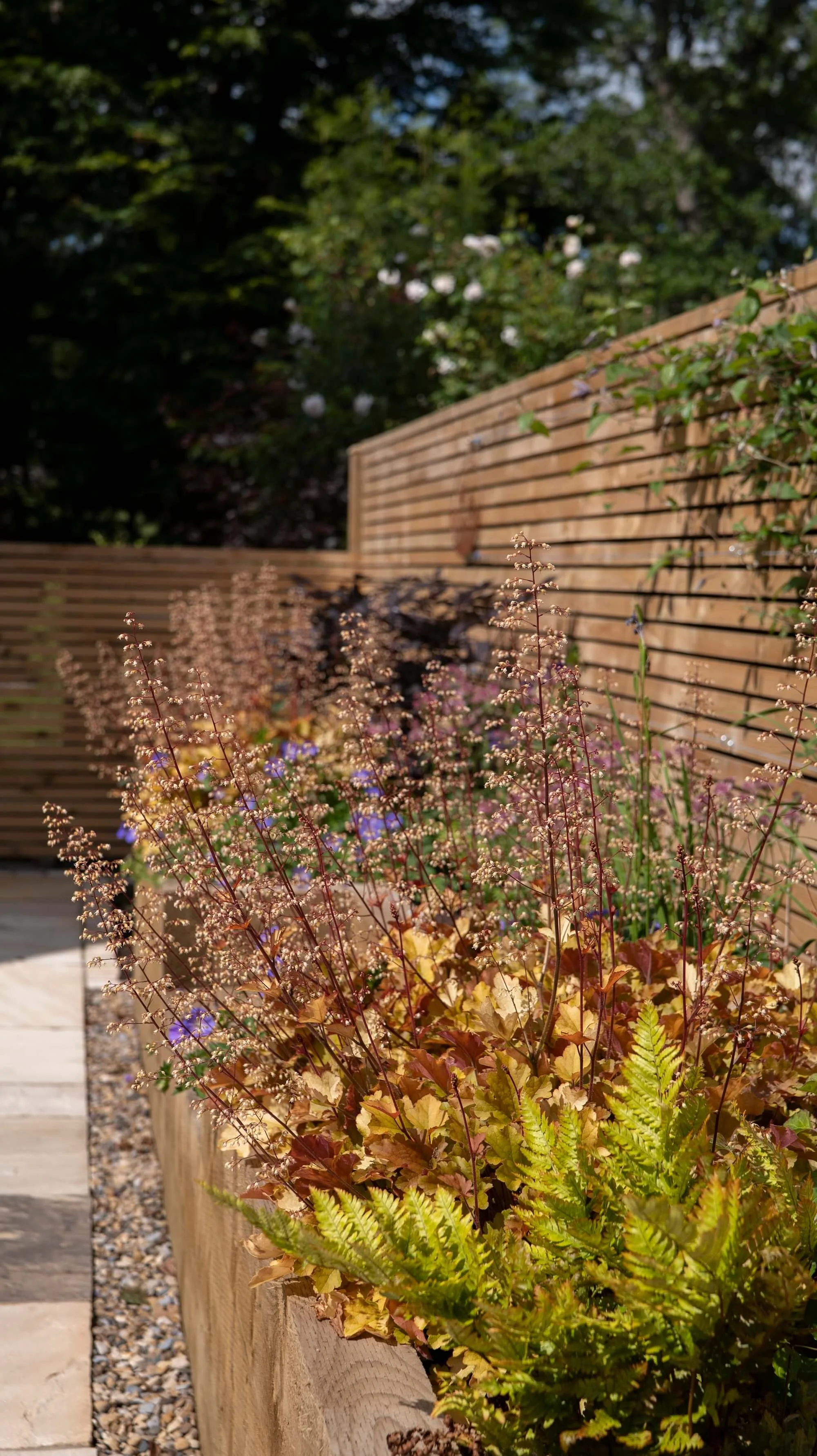 Rael Rawlinson Garden Design Northumberland Courtyard Garden32.jpg