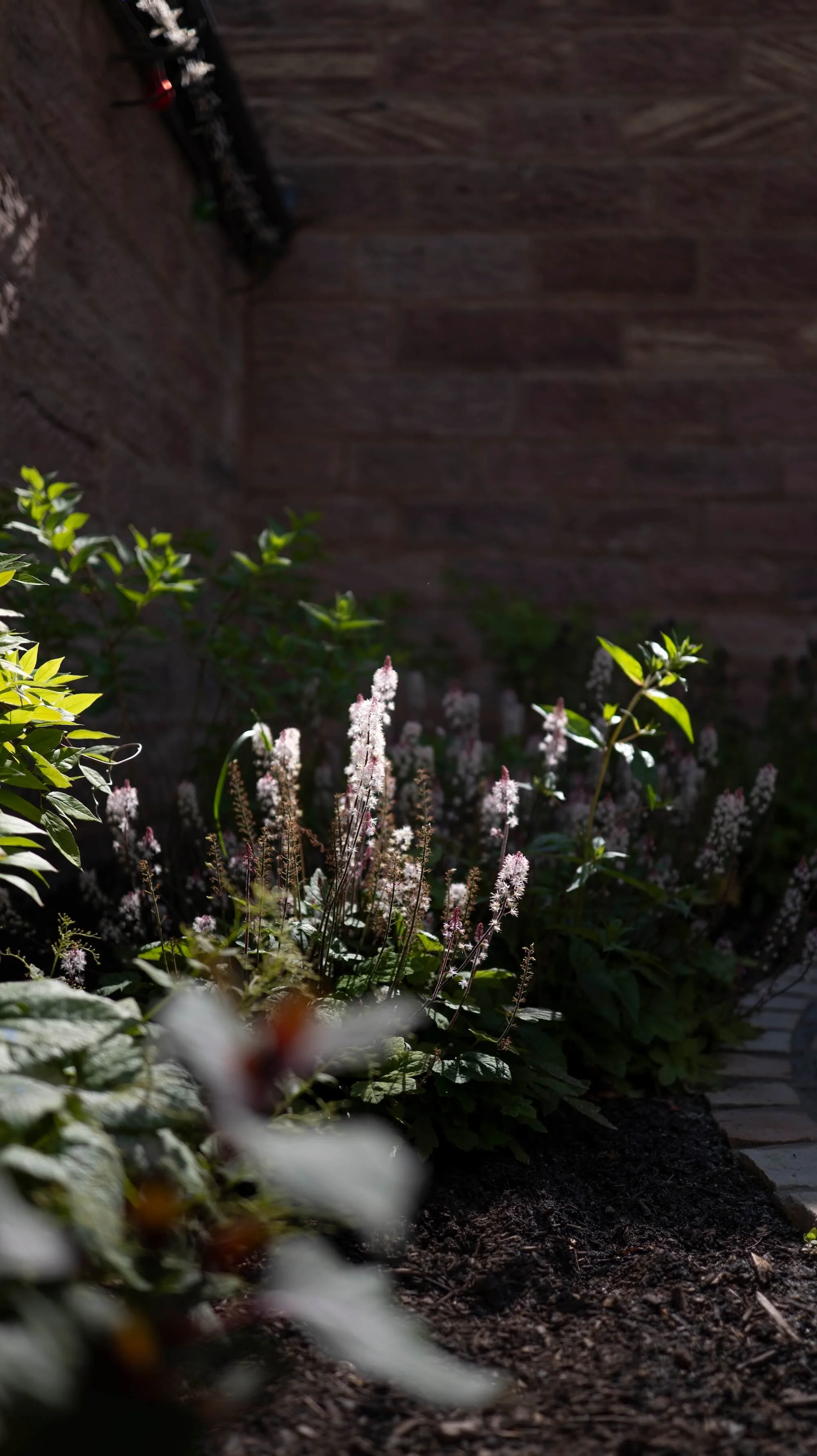 Rael Rawlinson Garden Design Northumberland Courtyard Garden27.jpg