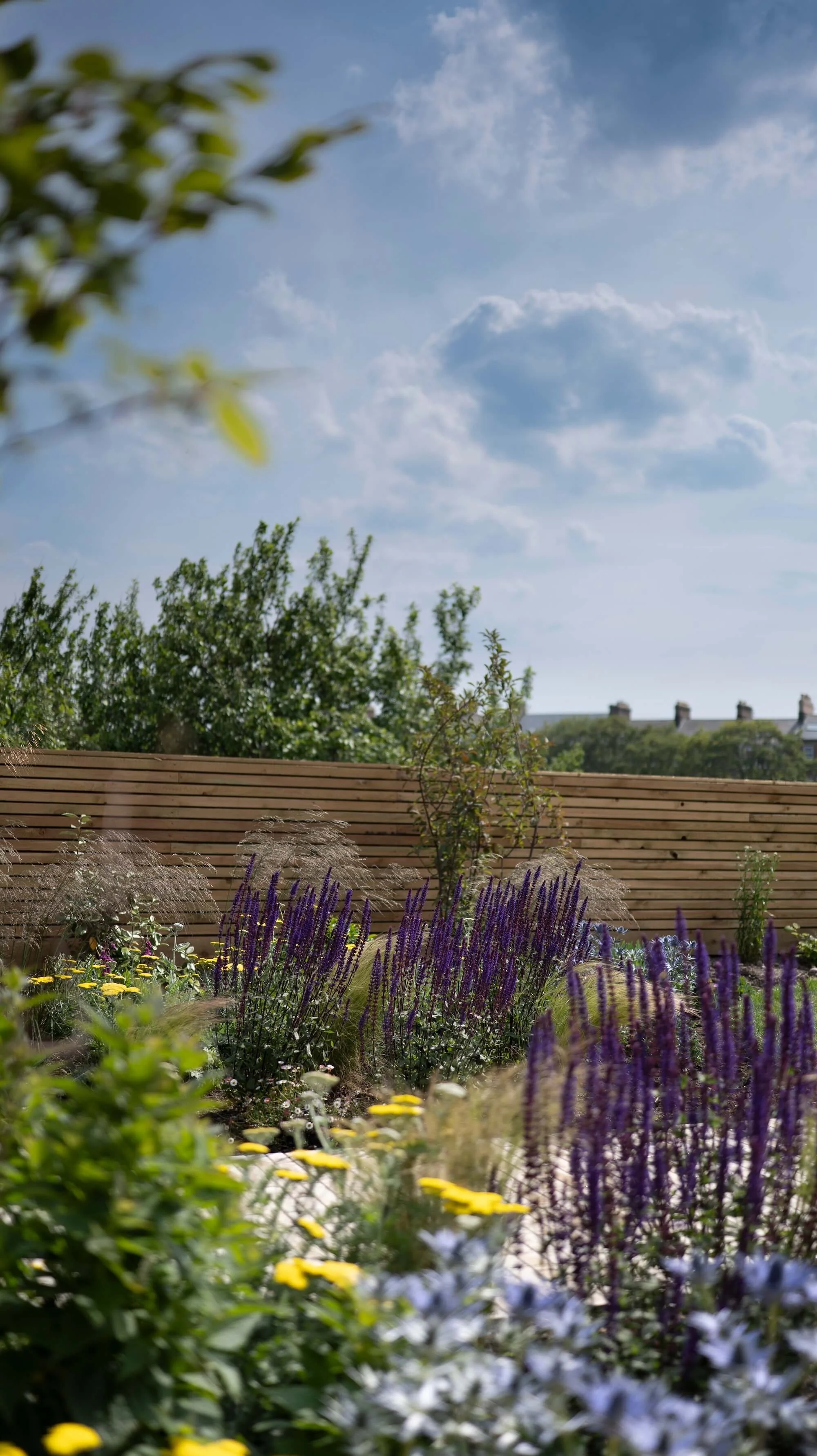 Rael rawlinson Garden Design North East England Tynemouth Passivhaus Mawson Kerr Architects19.jpg