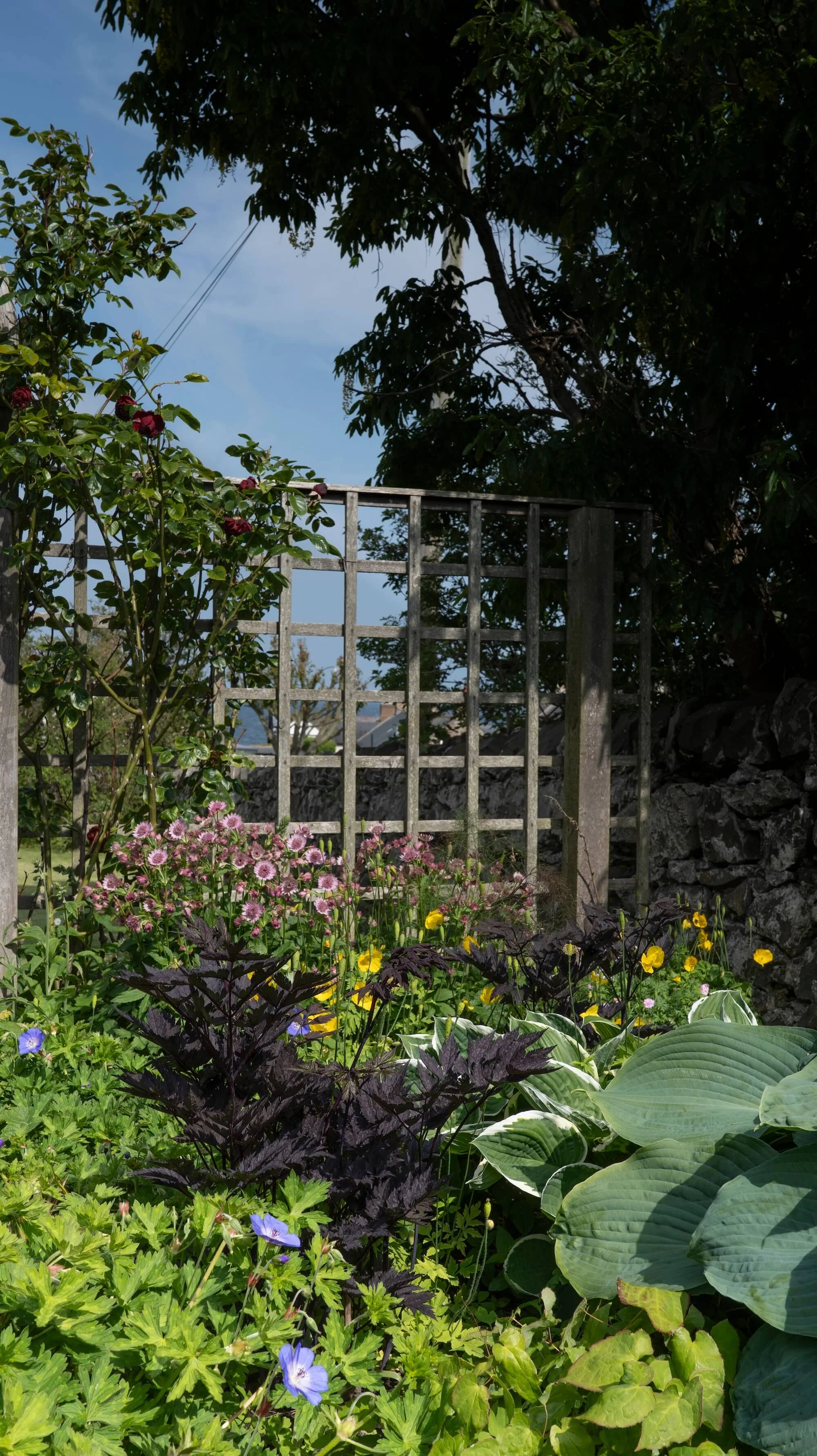 Rael Rawlinson Garden Design Northumberland Craster French Garden10.jpg