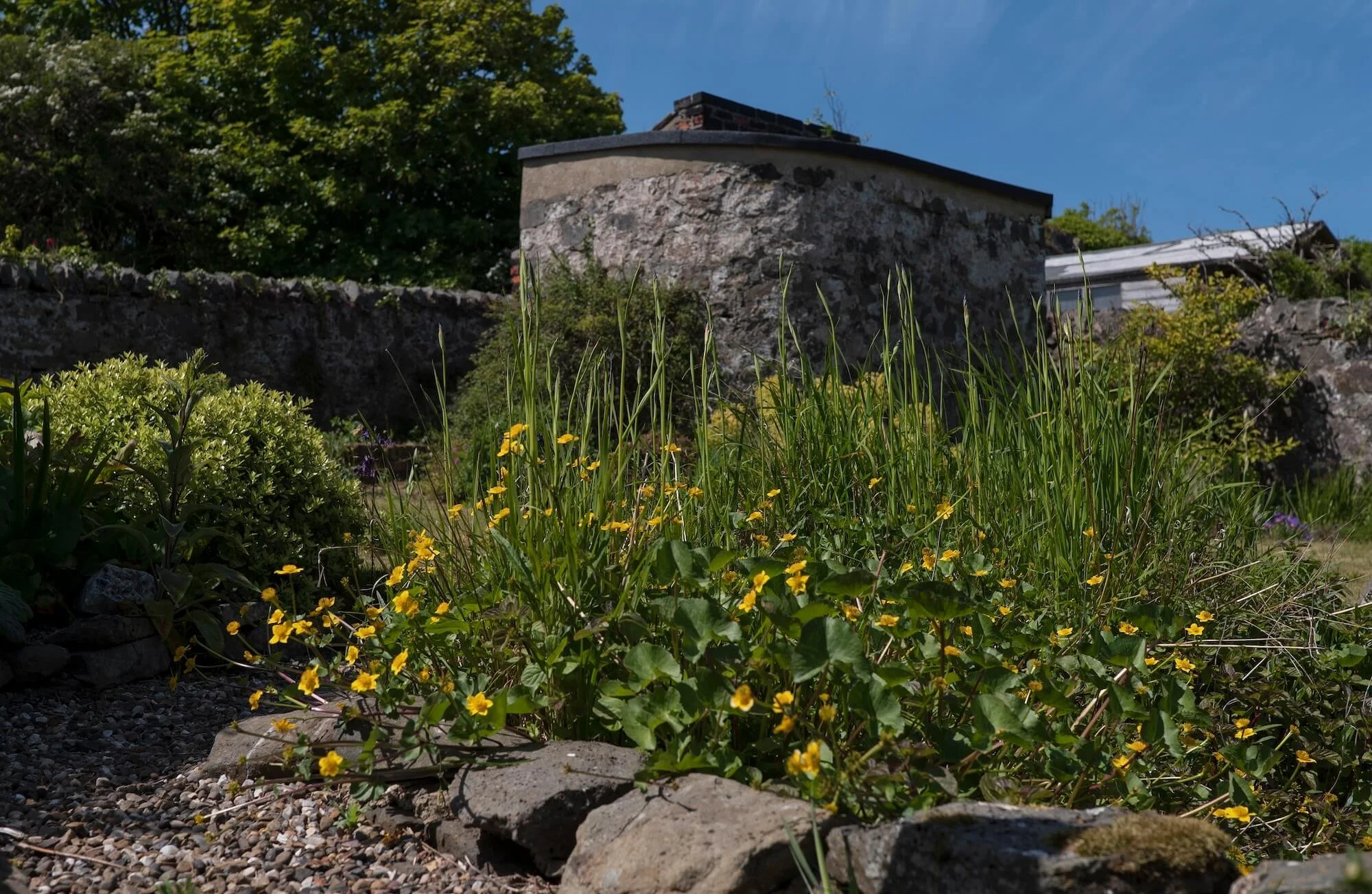 Rael Rawlinson Garden Design Northumberland Craster French Garden1.jpg