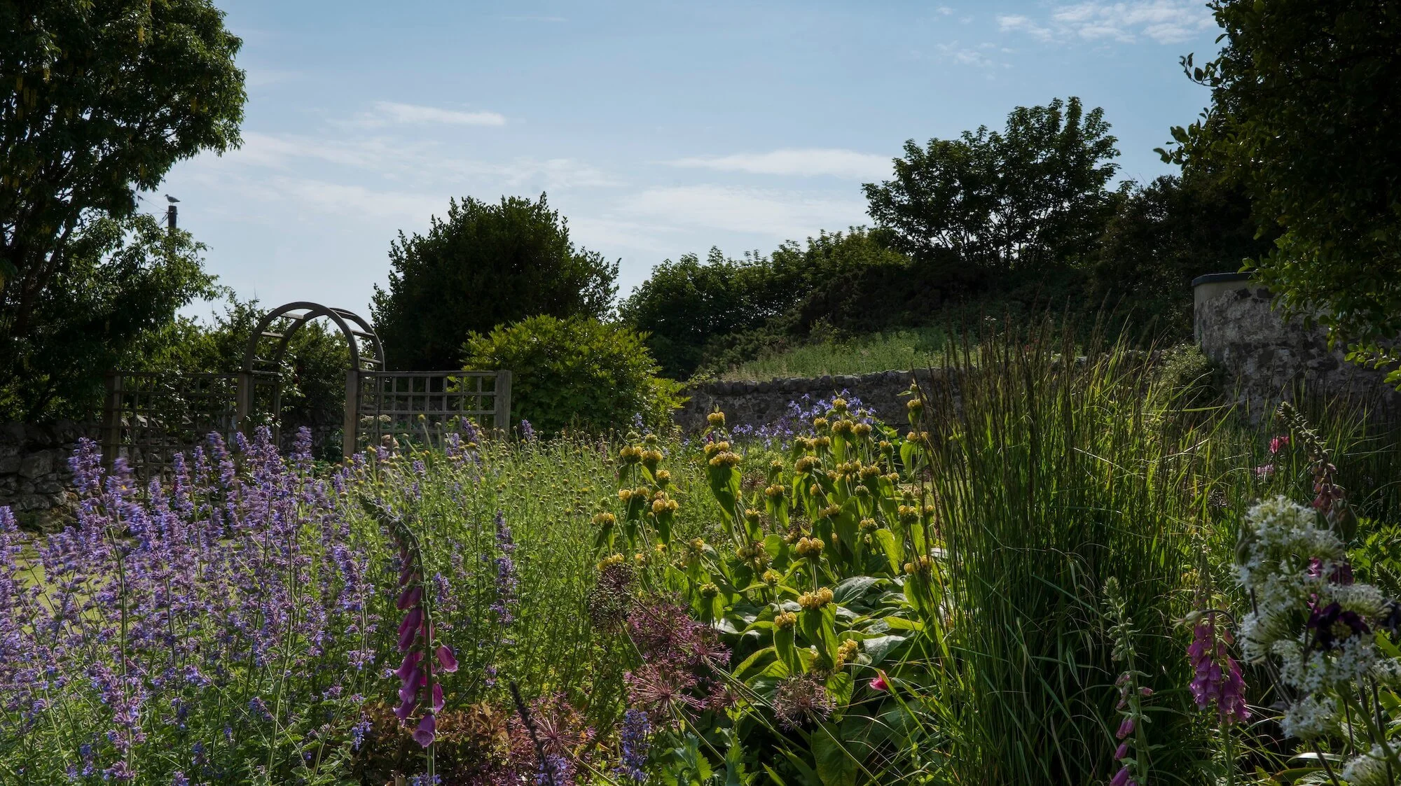 Rael Rawlinson Garden Design Northumberland Craster French Garden21.jpg