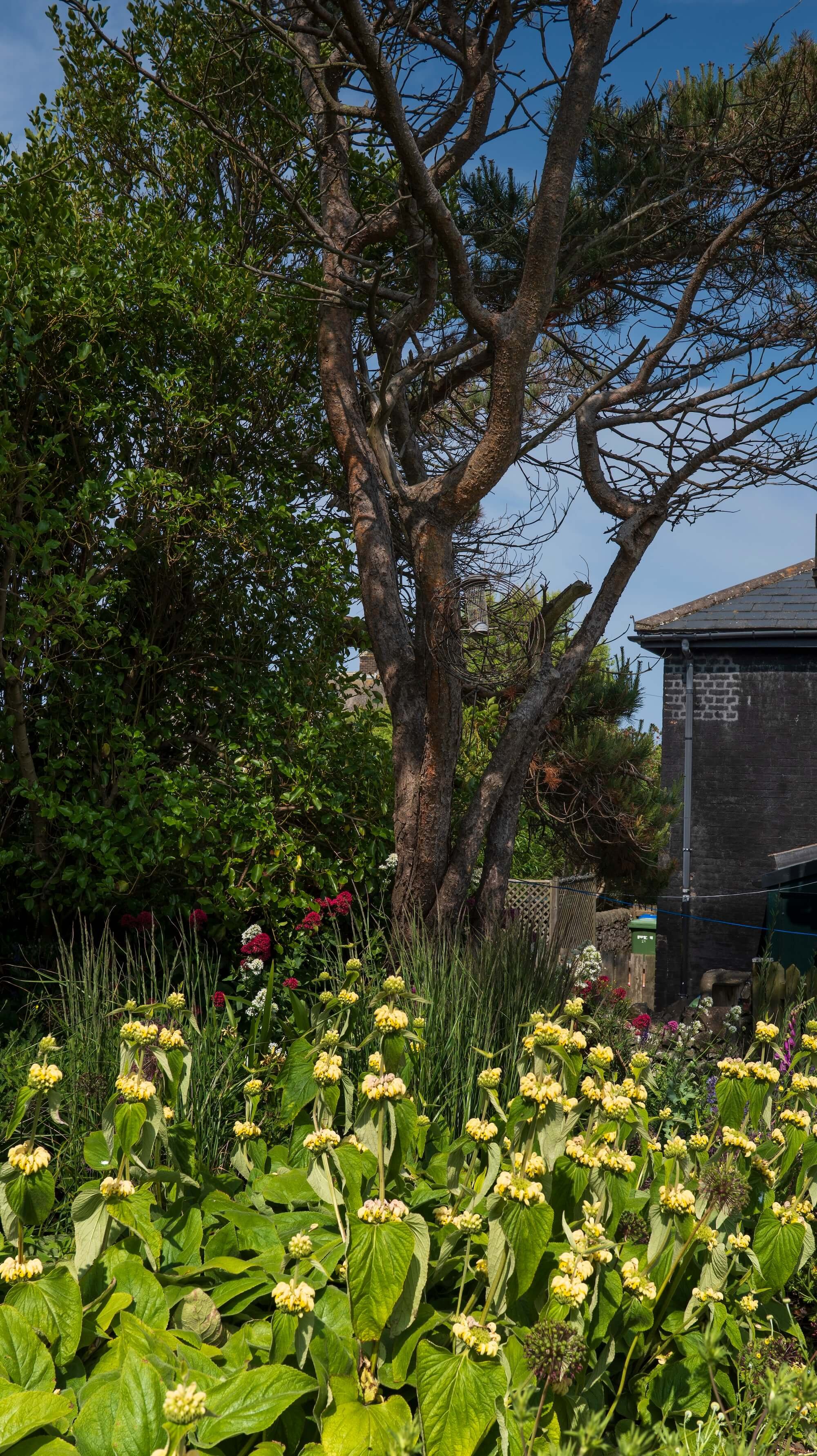 Rael Rawlinson Garden Design Northumberland Craster French Garden14.jpg