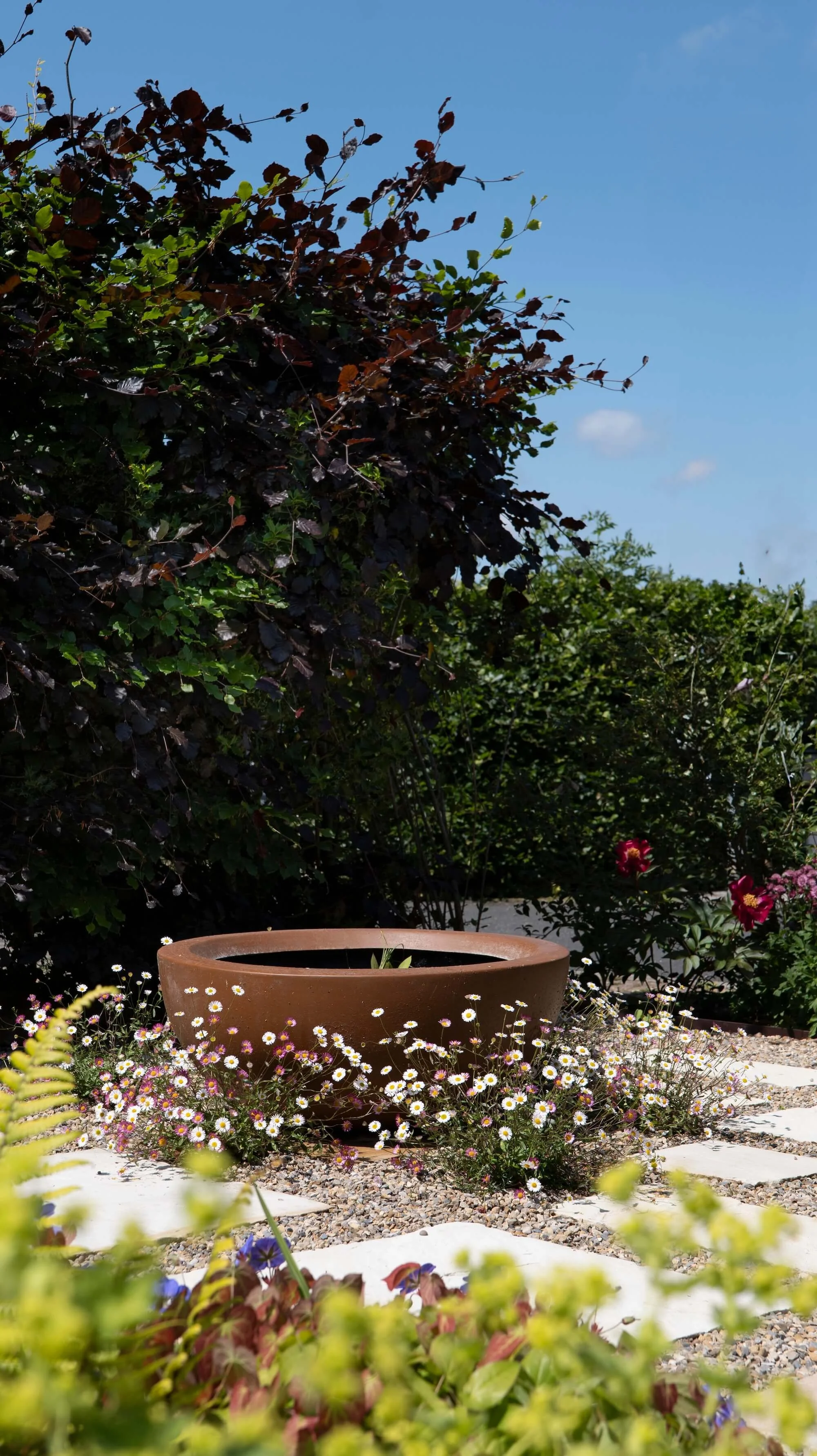 Rael Rawlinson Garden Design Northumberland Small Front Garden23.jpg