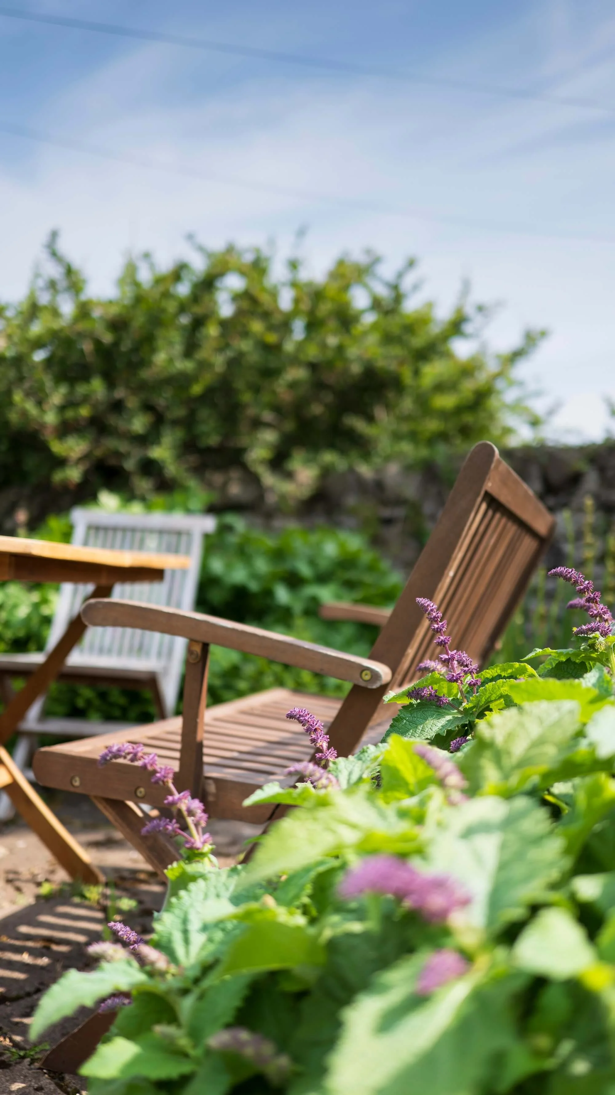 Rael Rawlinson Garden Design Northumberland Craster French Garden12.jpg