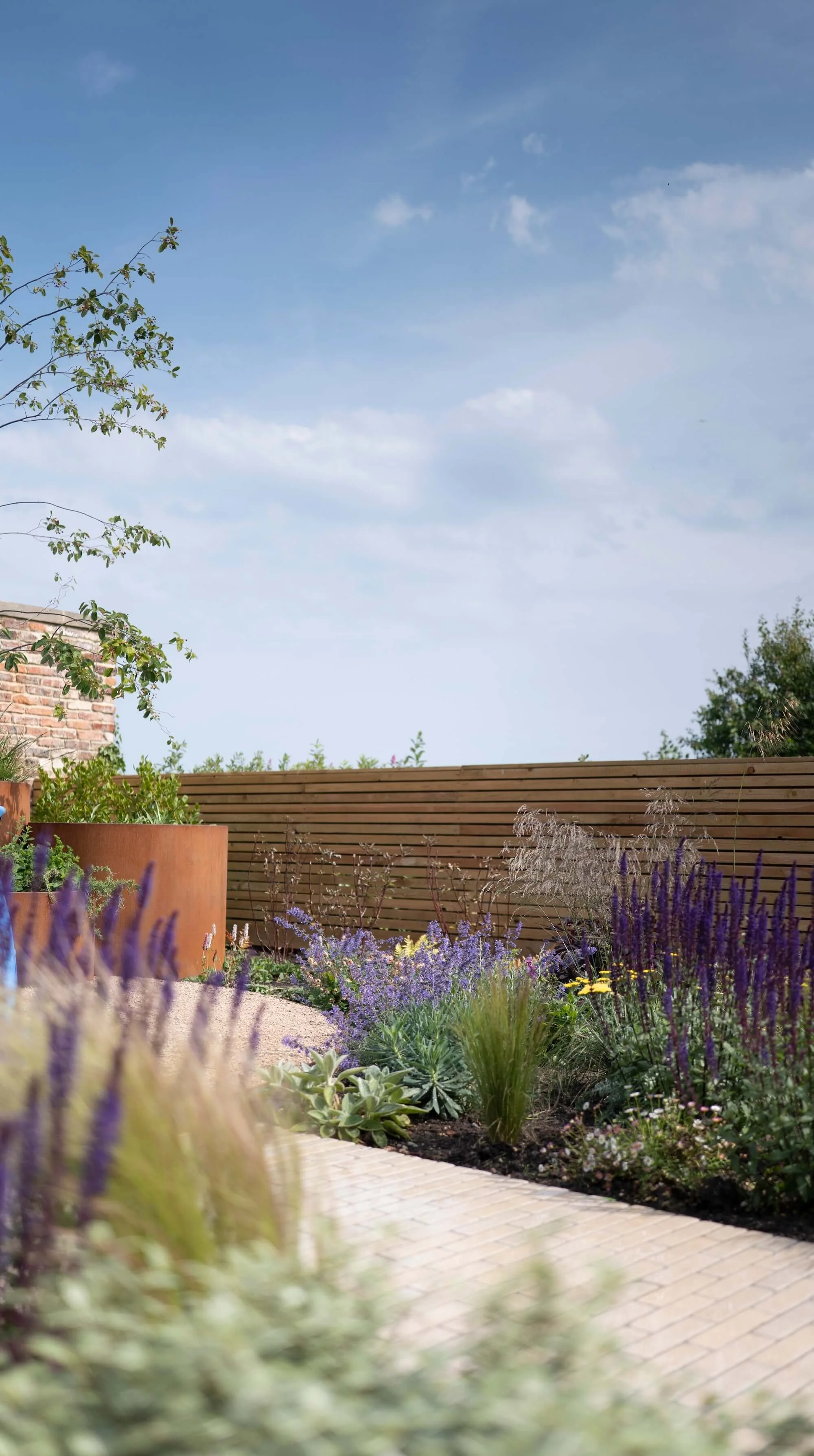Rael rawlinson Garden Design North East England Tynemouth Passivhaus Mawson Kerr Architects18.jpg