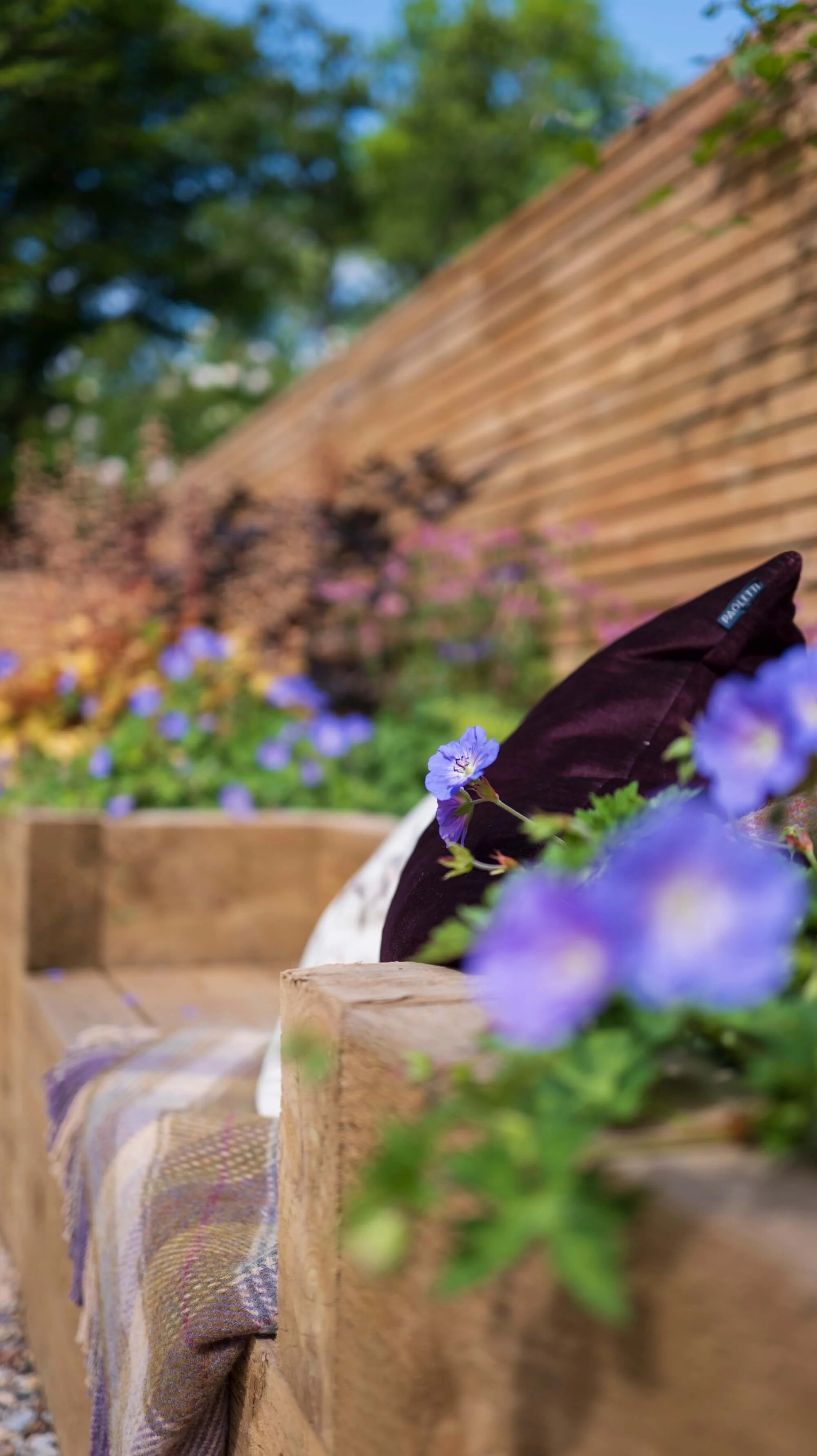 Rael Rawlinson Garden Design Northumberland Courtyard Garden18.jpg