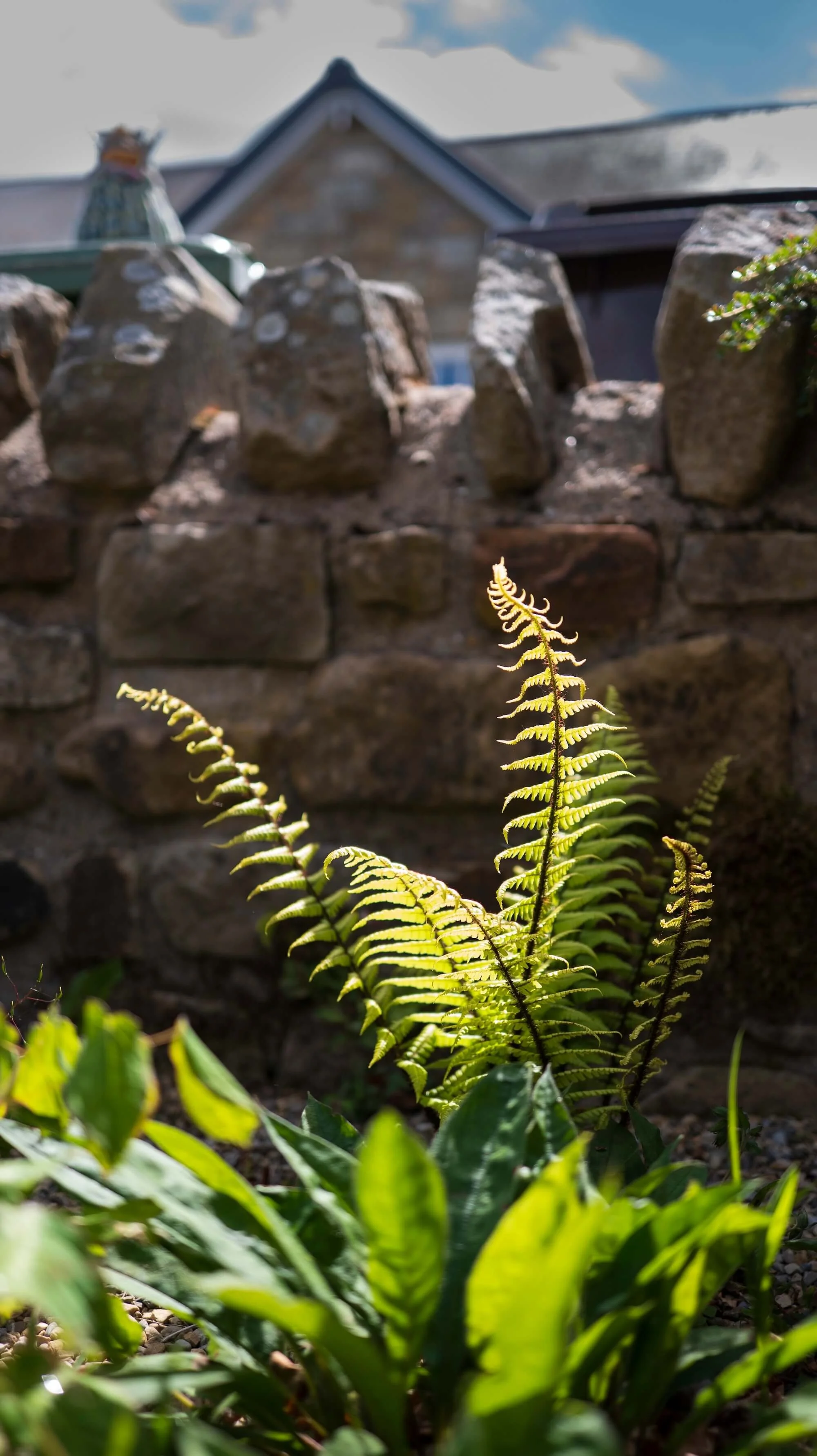 Rael Rawlinson Garden Design Northumberland Small Front Garden12.jpg