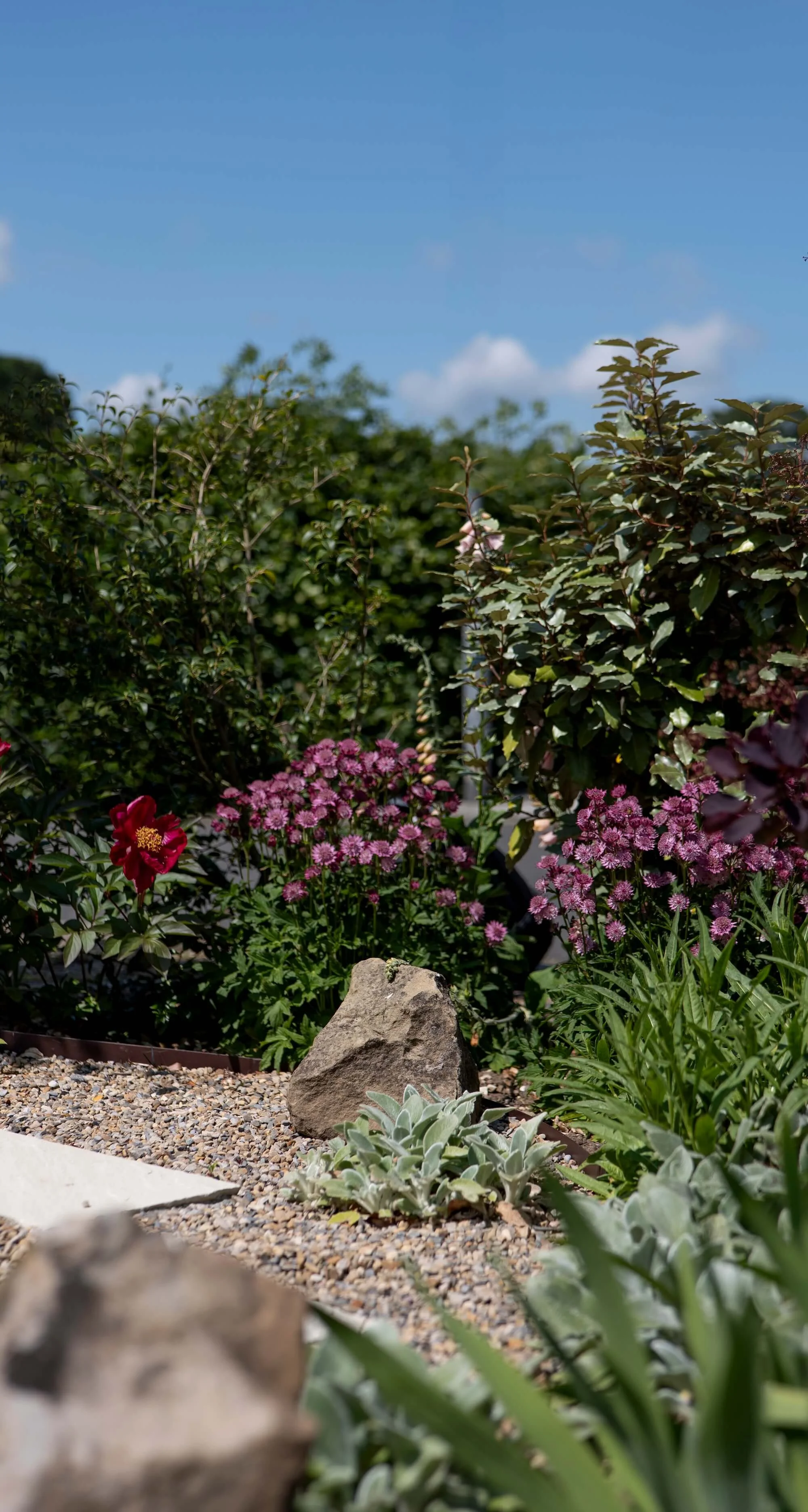 Rael Rawlinson Garden Design Northumberland Small Front Garden20.jpg