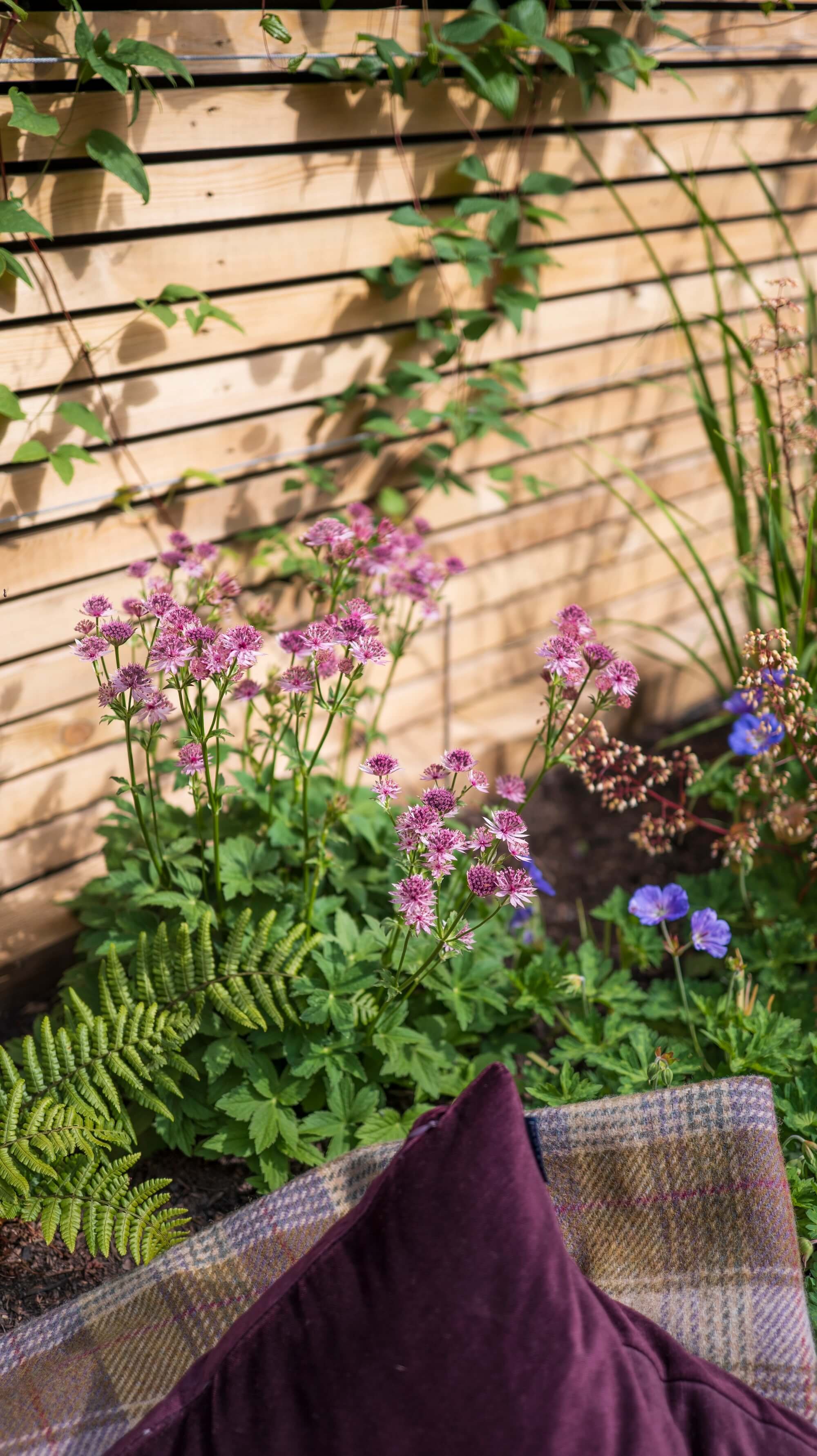 Rael Rawlinson Garden Design Northumberland Courtyard Garden19.jpg