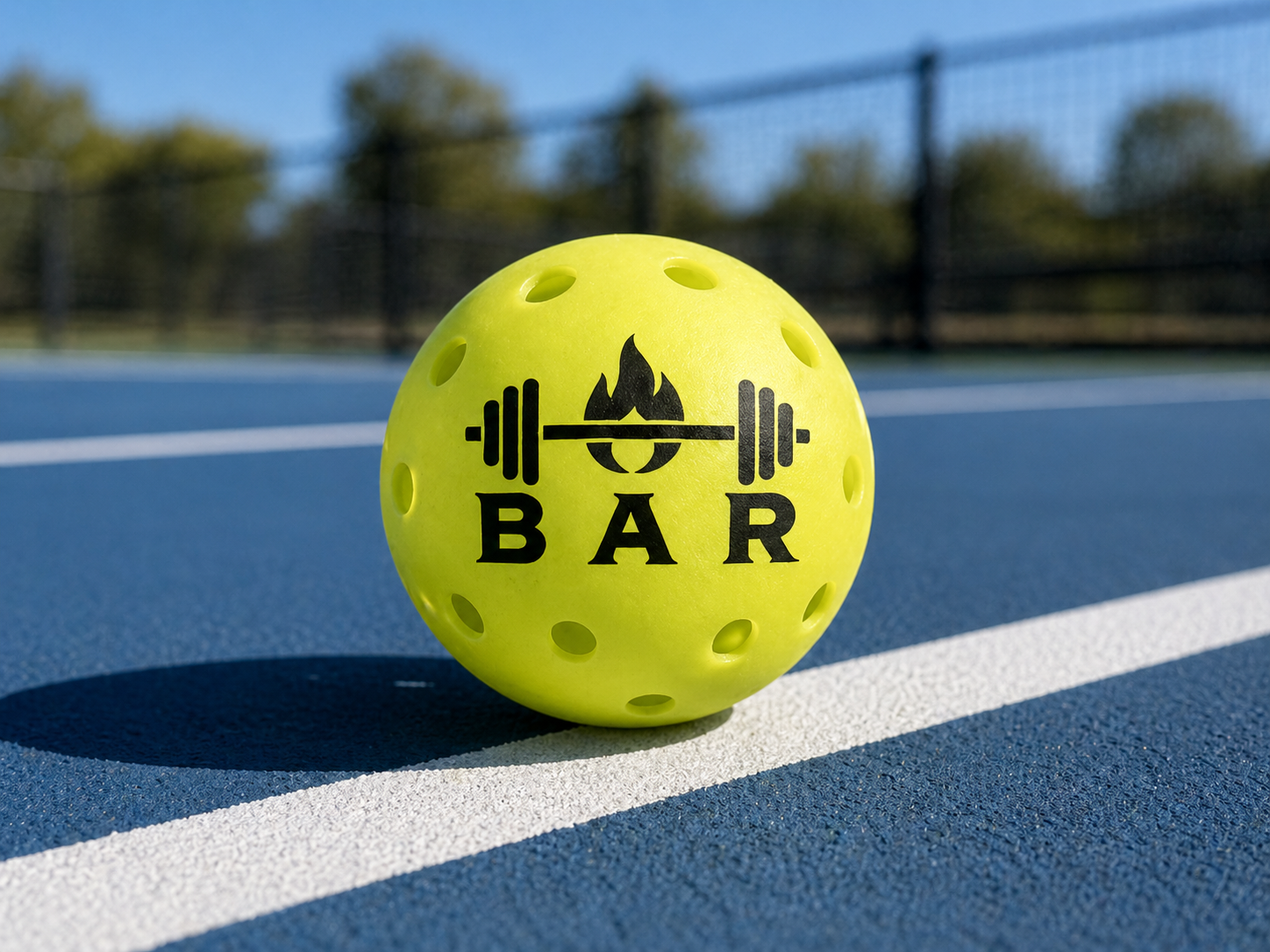 The Pickleball Protection Program