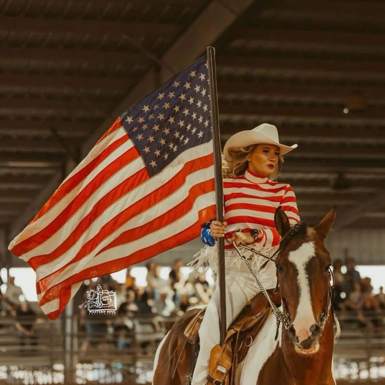 Meet Our Horses:

✨Cisco✨

Cisco is a 15.3hh bay tobiano gelding built like a tank and made to work. This thick powerhouse started his journey as a junior bronc horse but has since traded the rodeo chutes for a new kind of glory. He&rsquo;s been retr